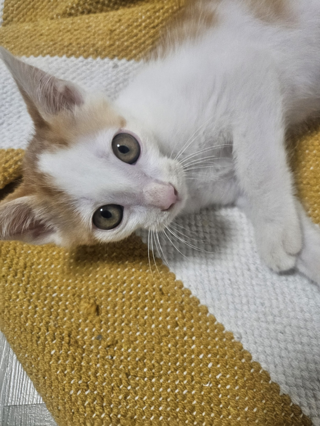 KakaoTalk_20240725_000407676_01.jpg