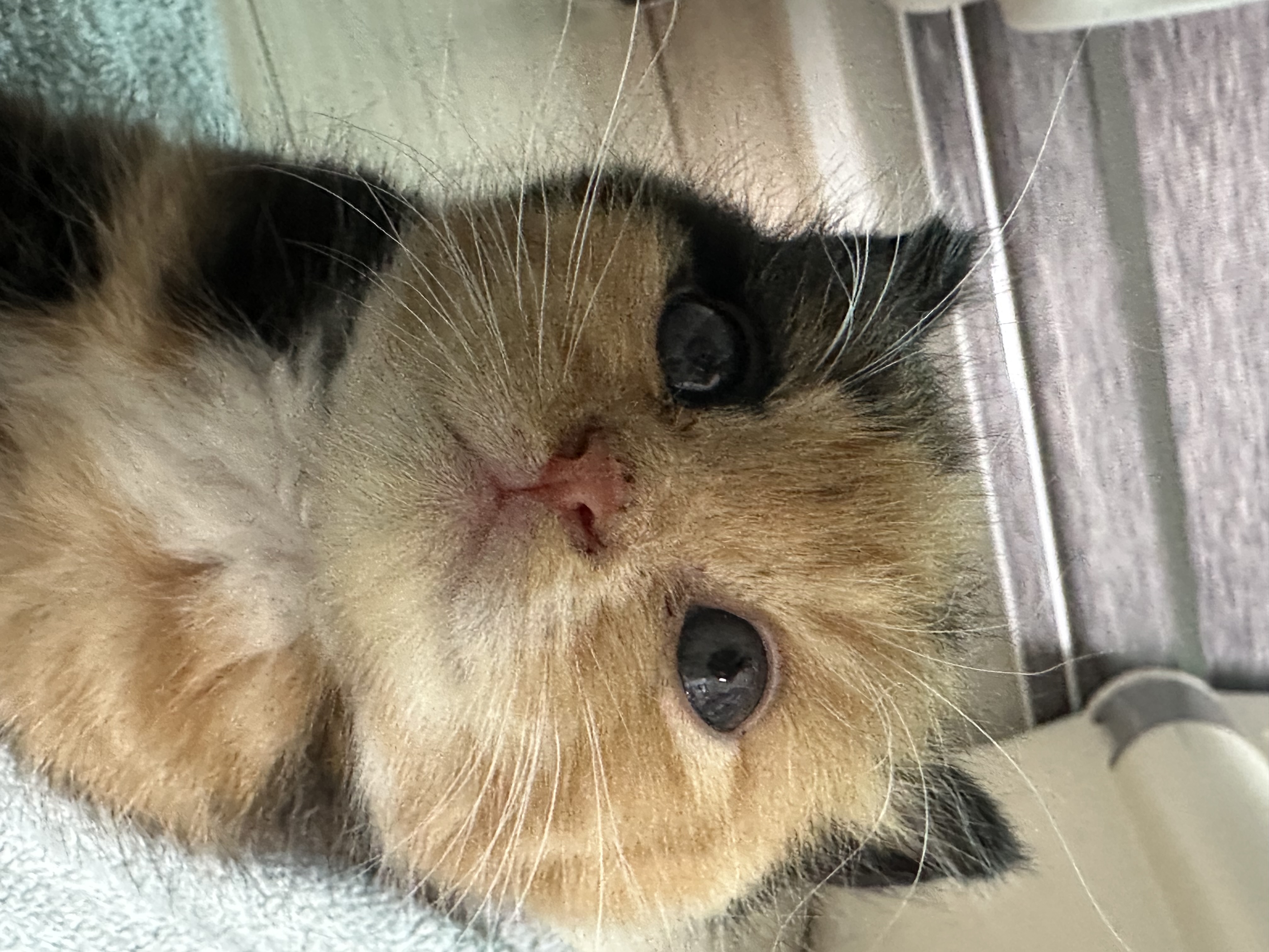 KakaoTalk_20251018_160258759.jpg