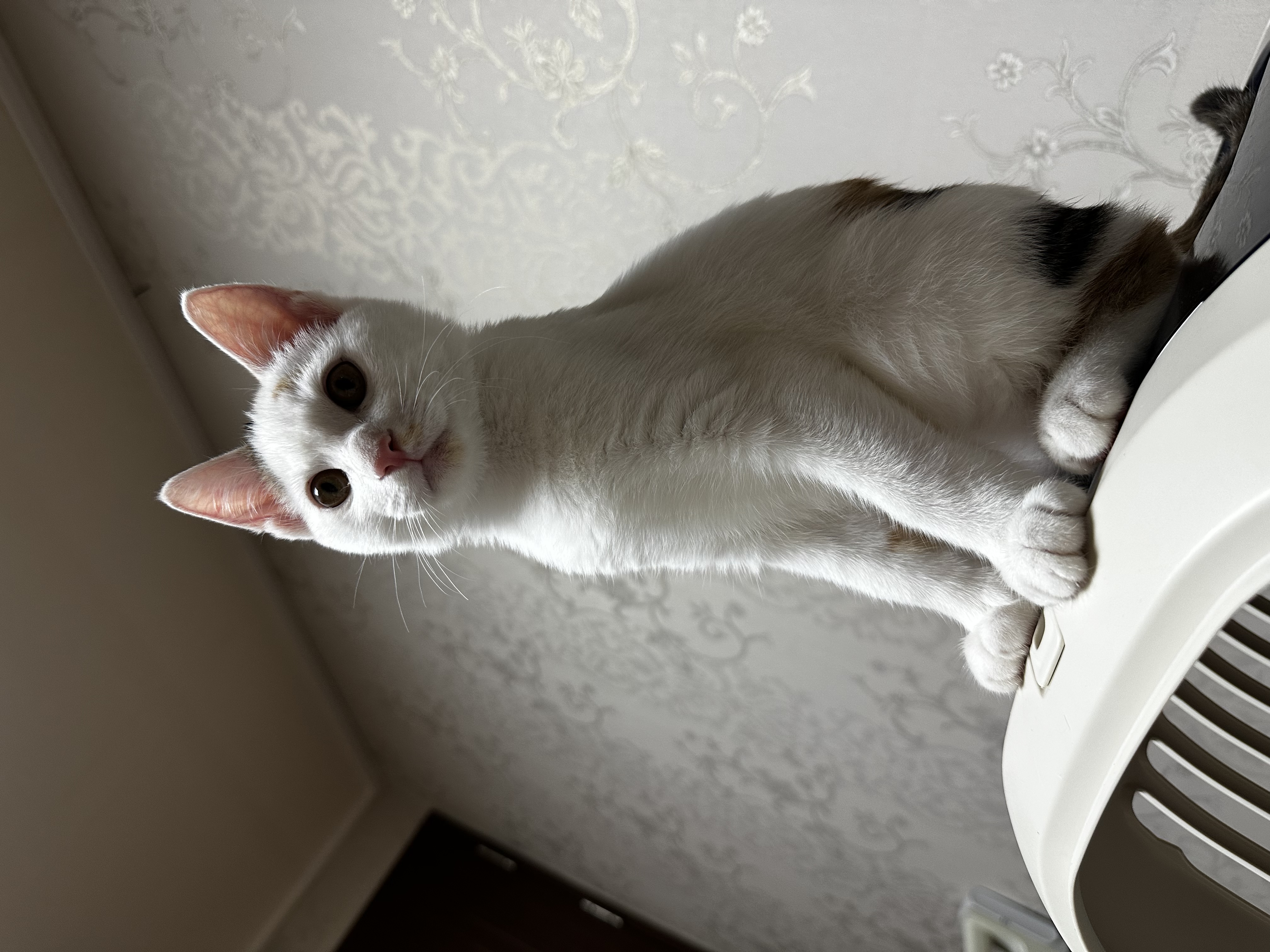 KakaoTalk_20251018_155101317_01.jpg
