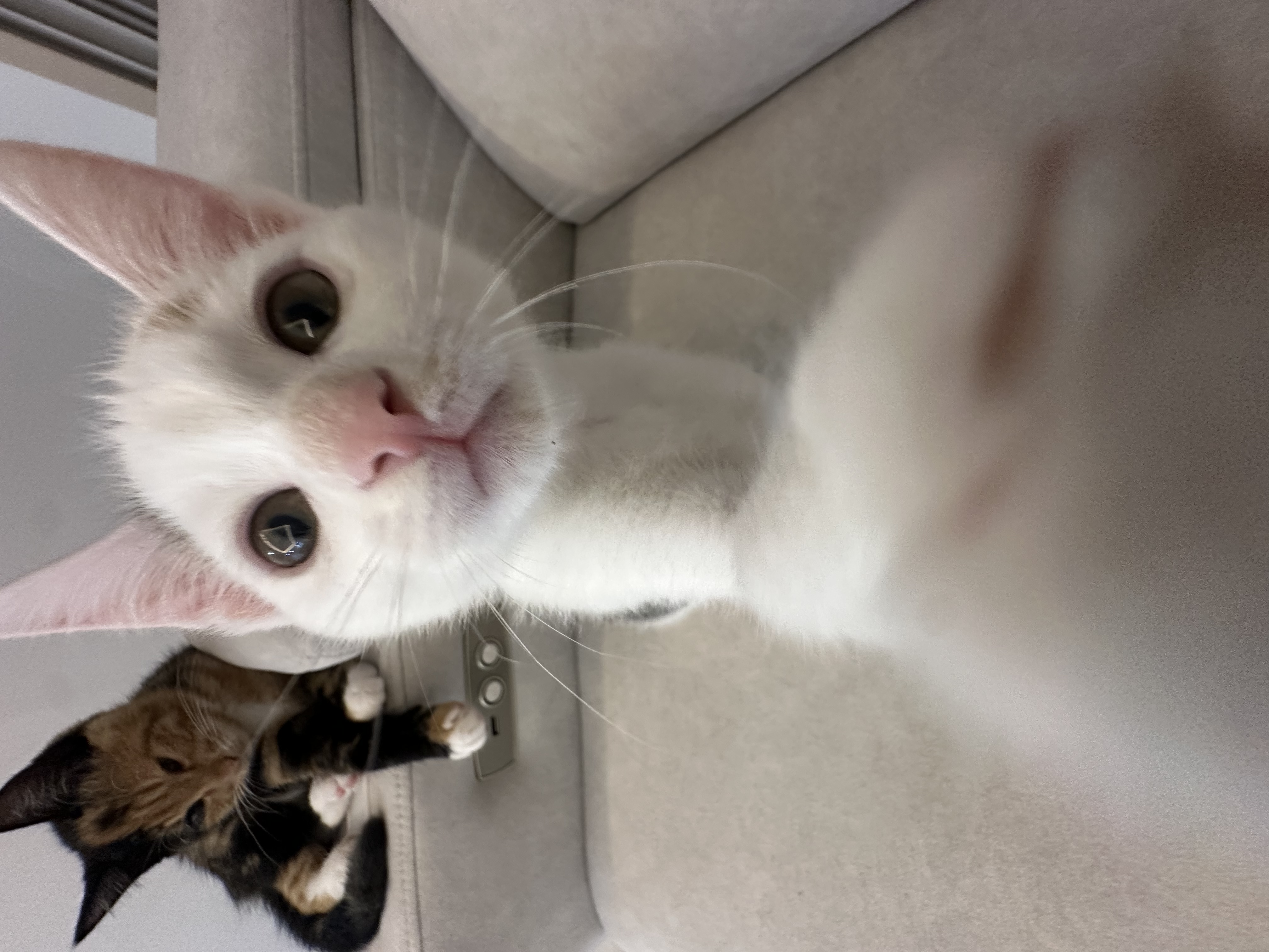 KakaoTalk_20251018_155728039_01.jpg