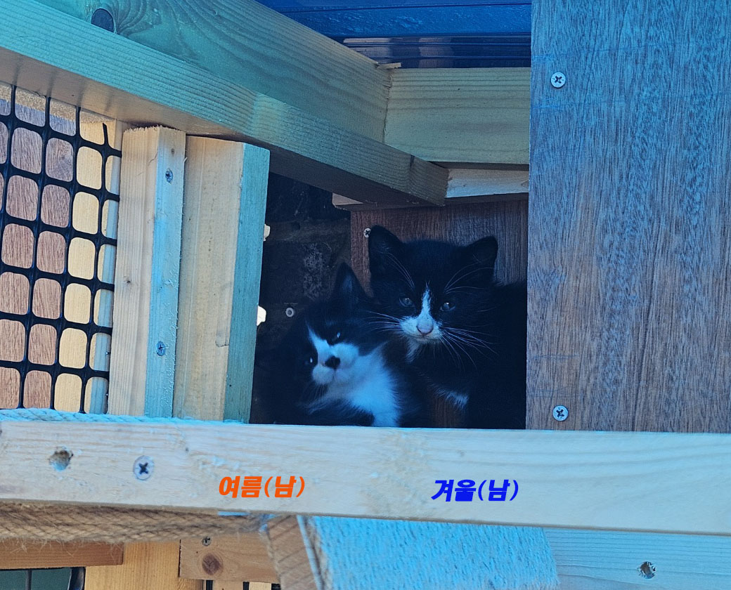 여름겨울-1.jpg