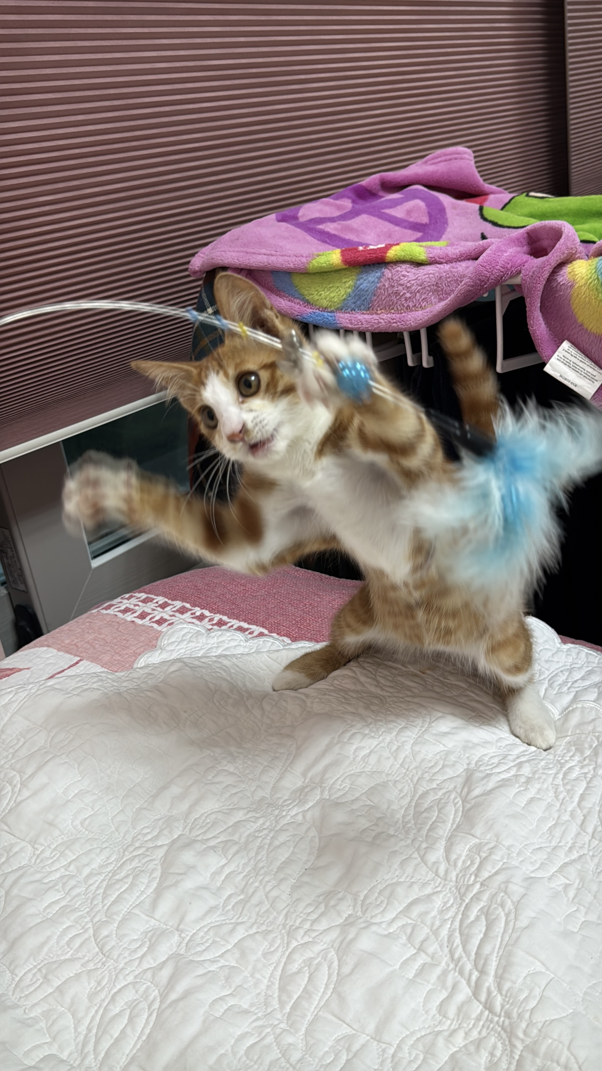 KakaoTalk_20250823_213110406.jpg