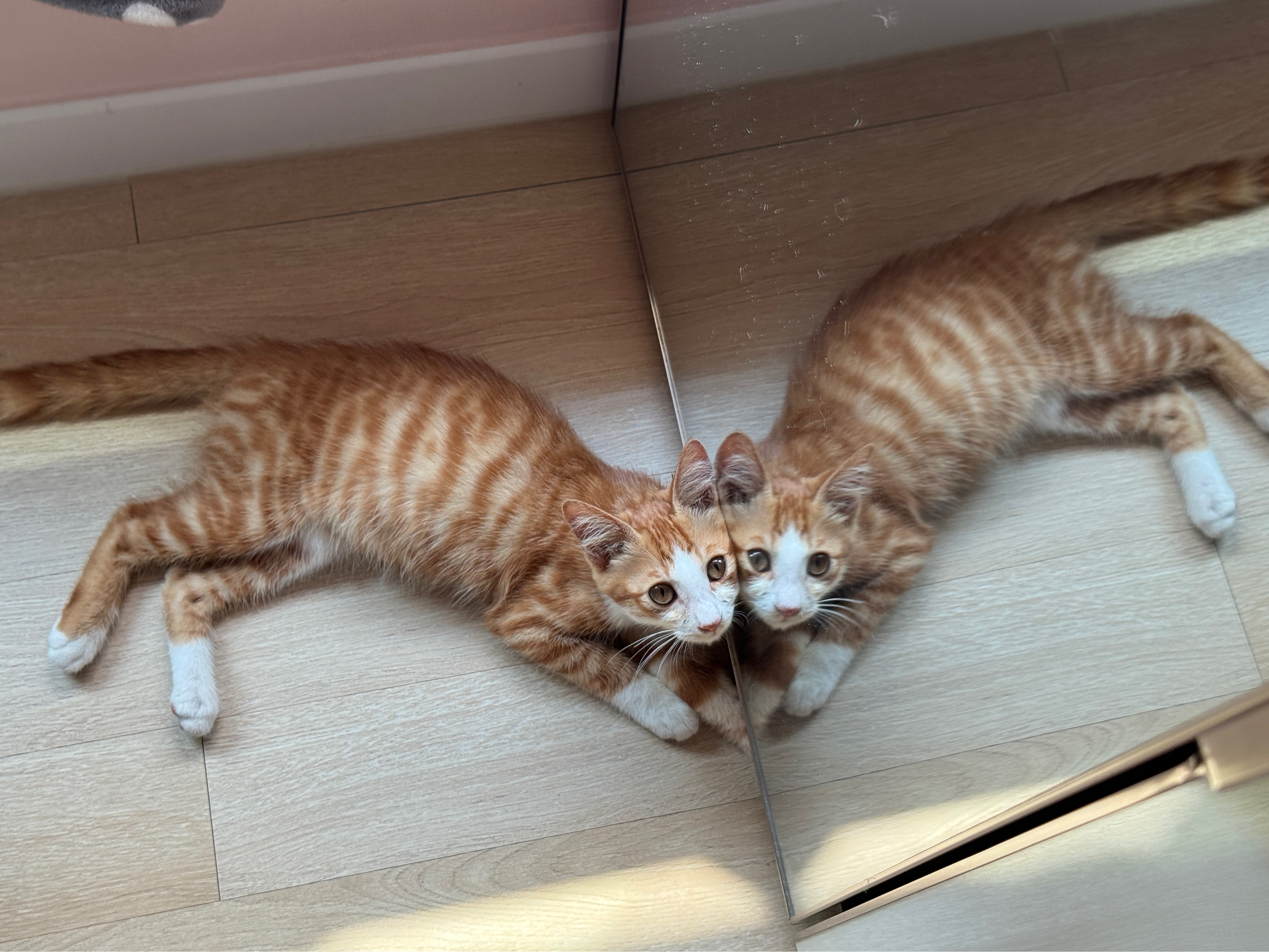 KakaoTalk_20250823_212941113_01.jpg