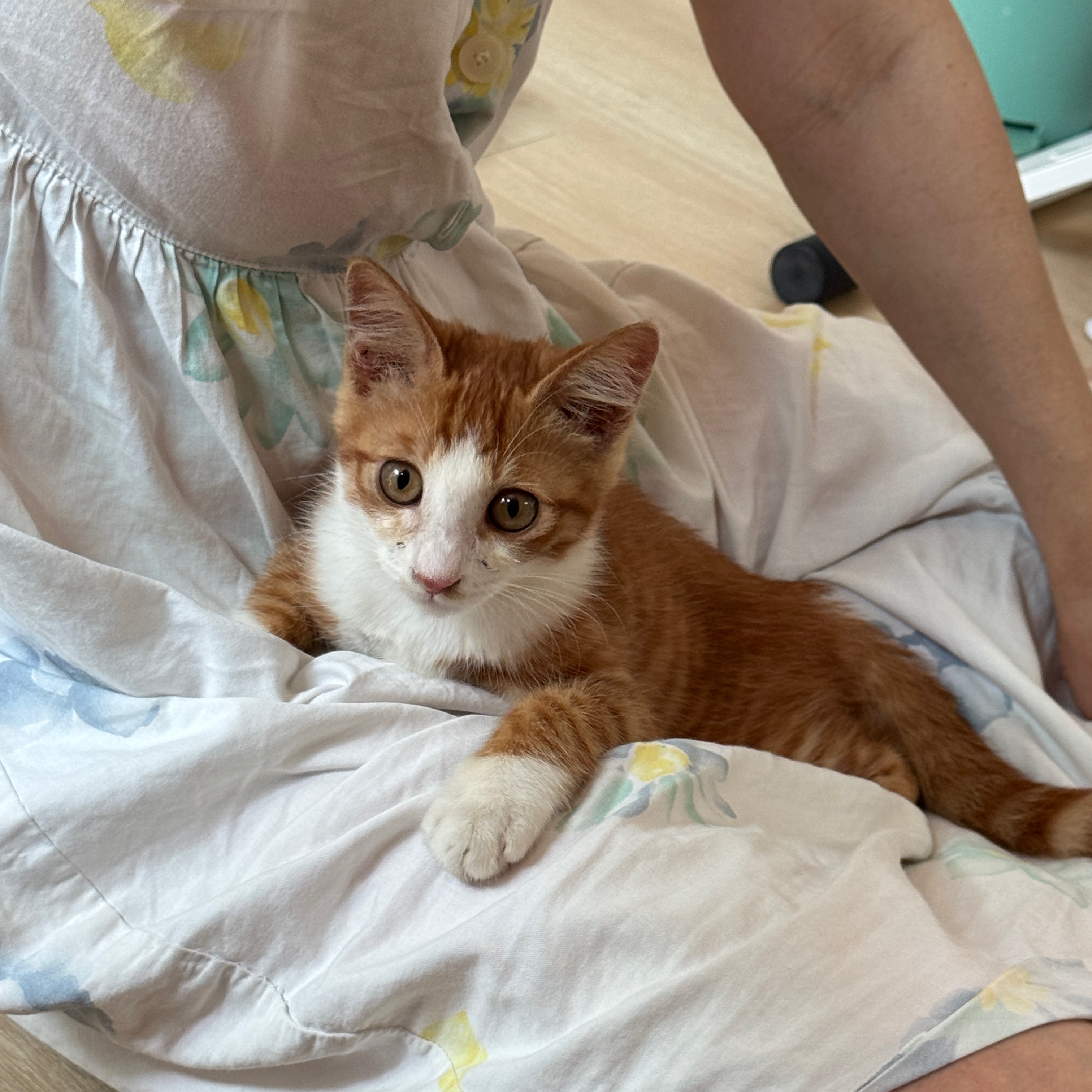 KakaoTalk_20250823_212941113_02.jpg