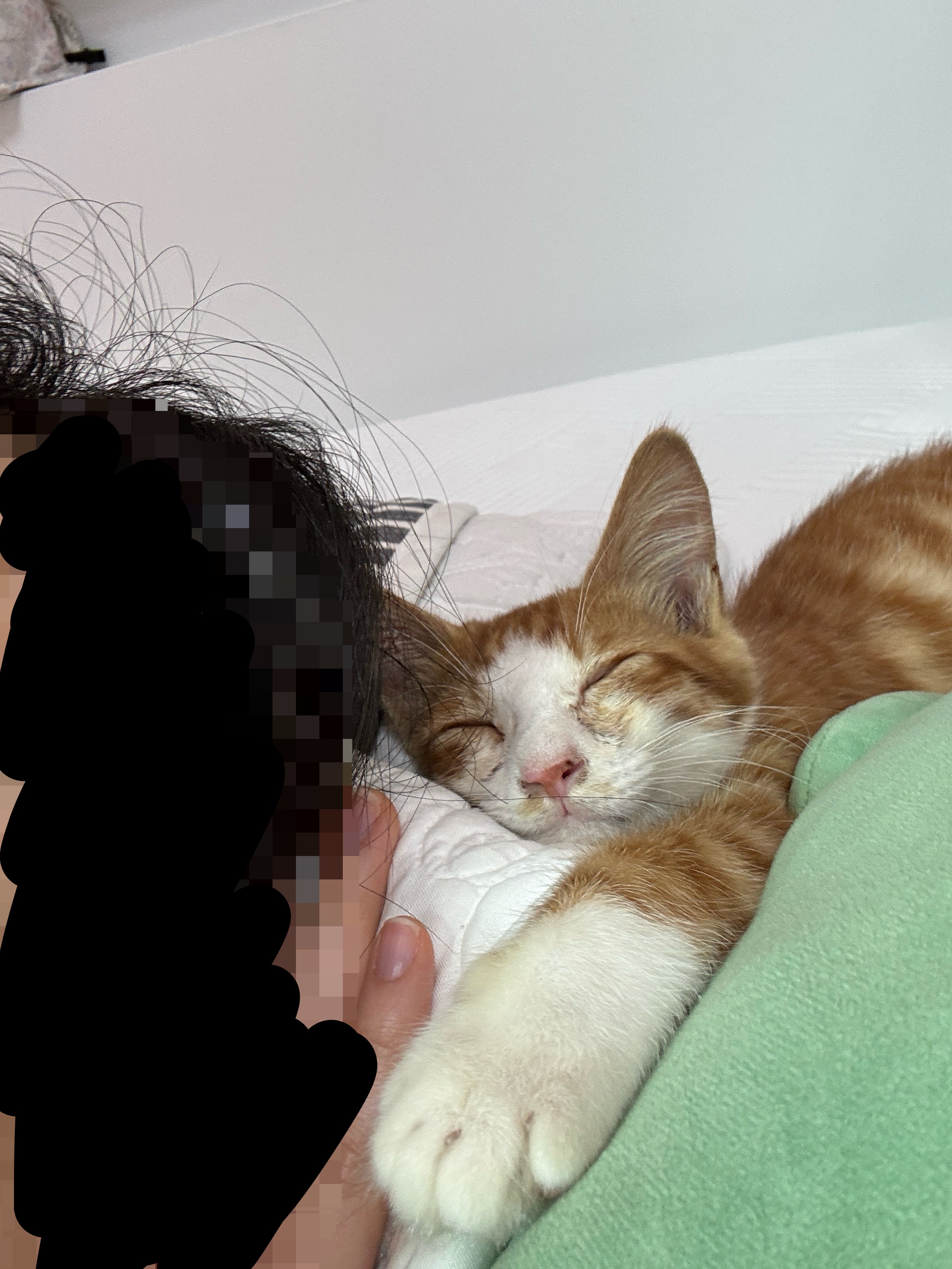 KakaoTalk_20250823_213110406_01.jpg