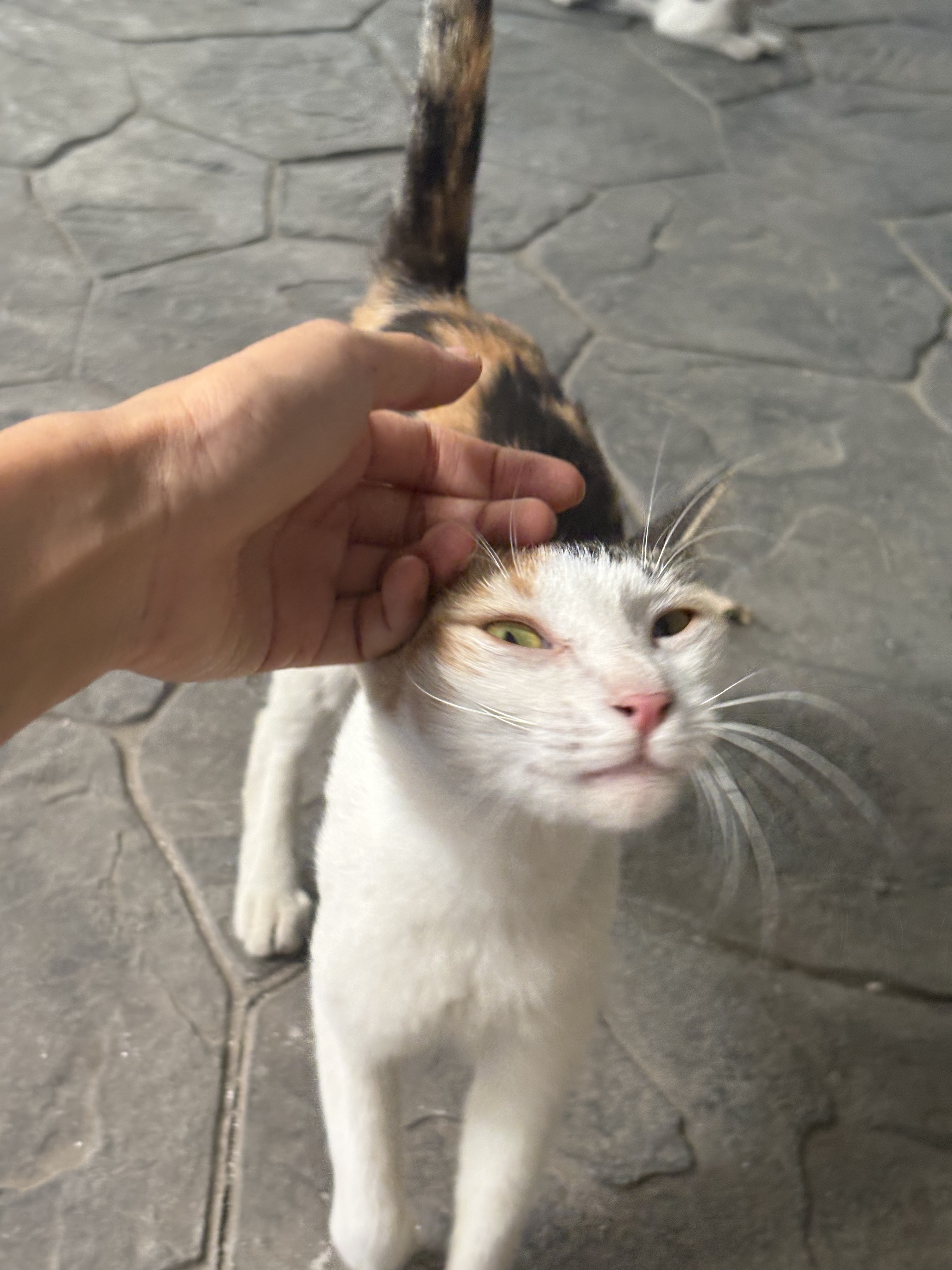 KakaoTalk_20250823_220827751_01.jpg
