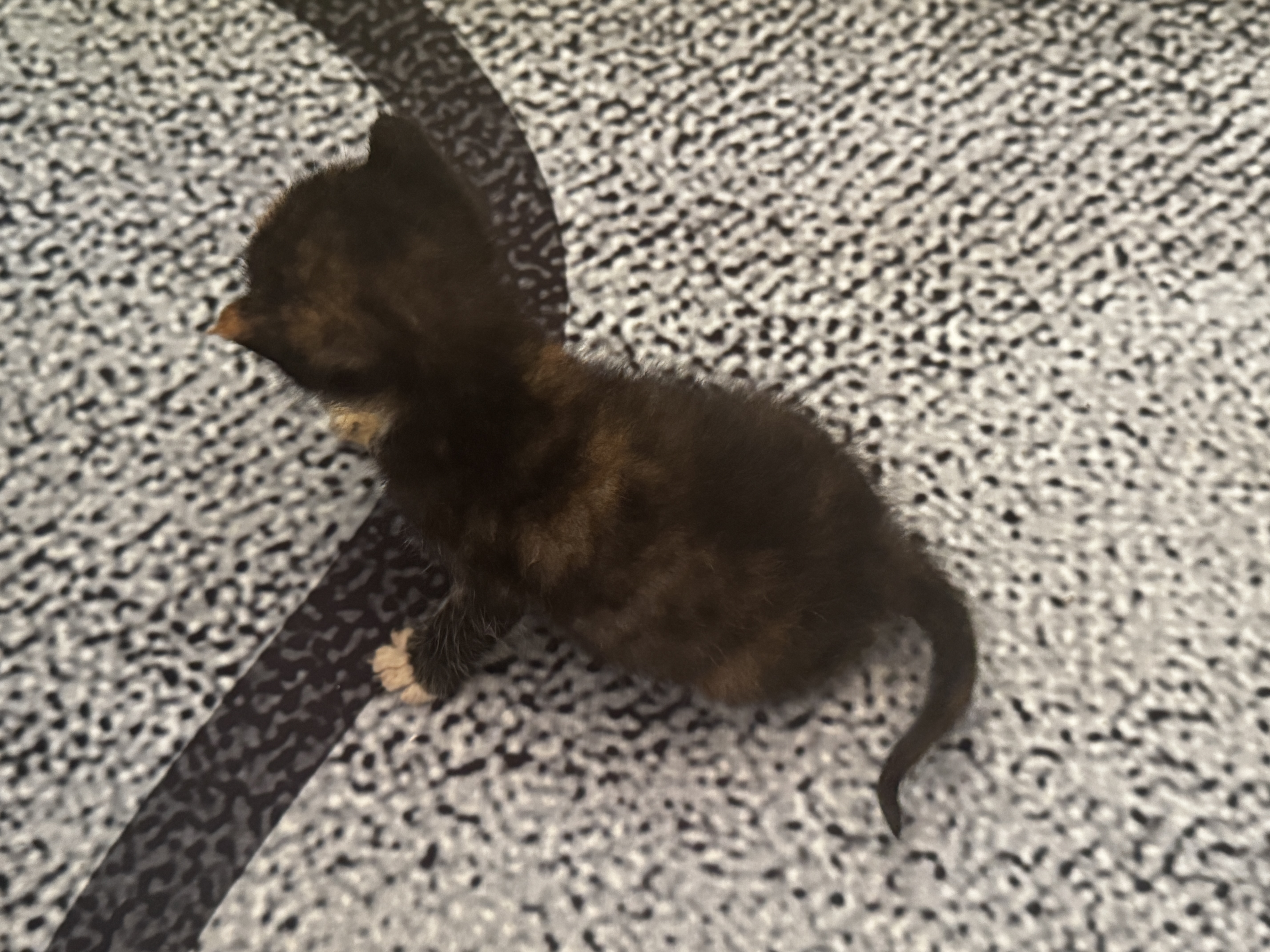 KakaoTalk_20250728_154015422_01.jpg