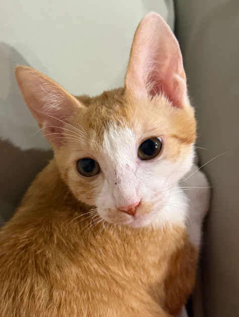 2026-02-09 14 53 31.png