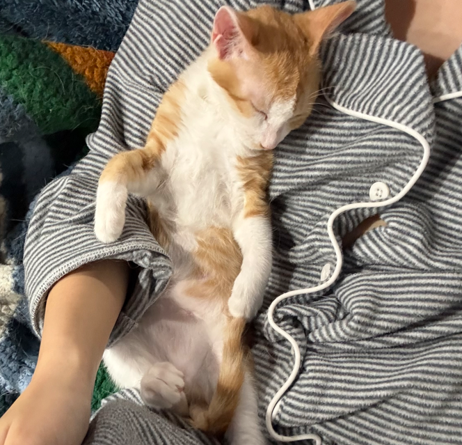 2026-02-09 14 53 47.png