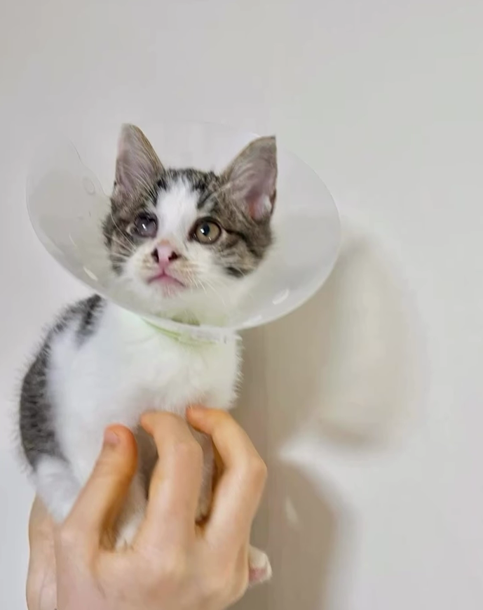 스크린샷 2025-11-02 002806.png