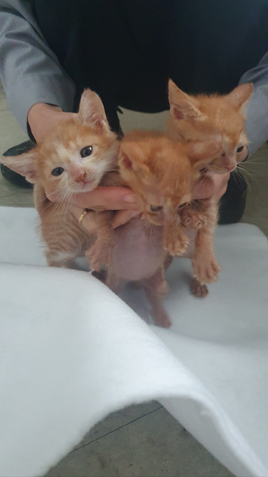 KakaoTalk_20251021_125158505_22.jpg