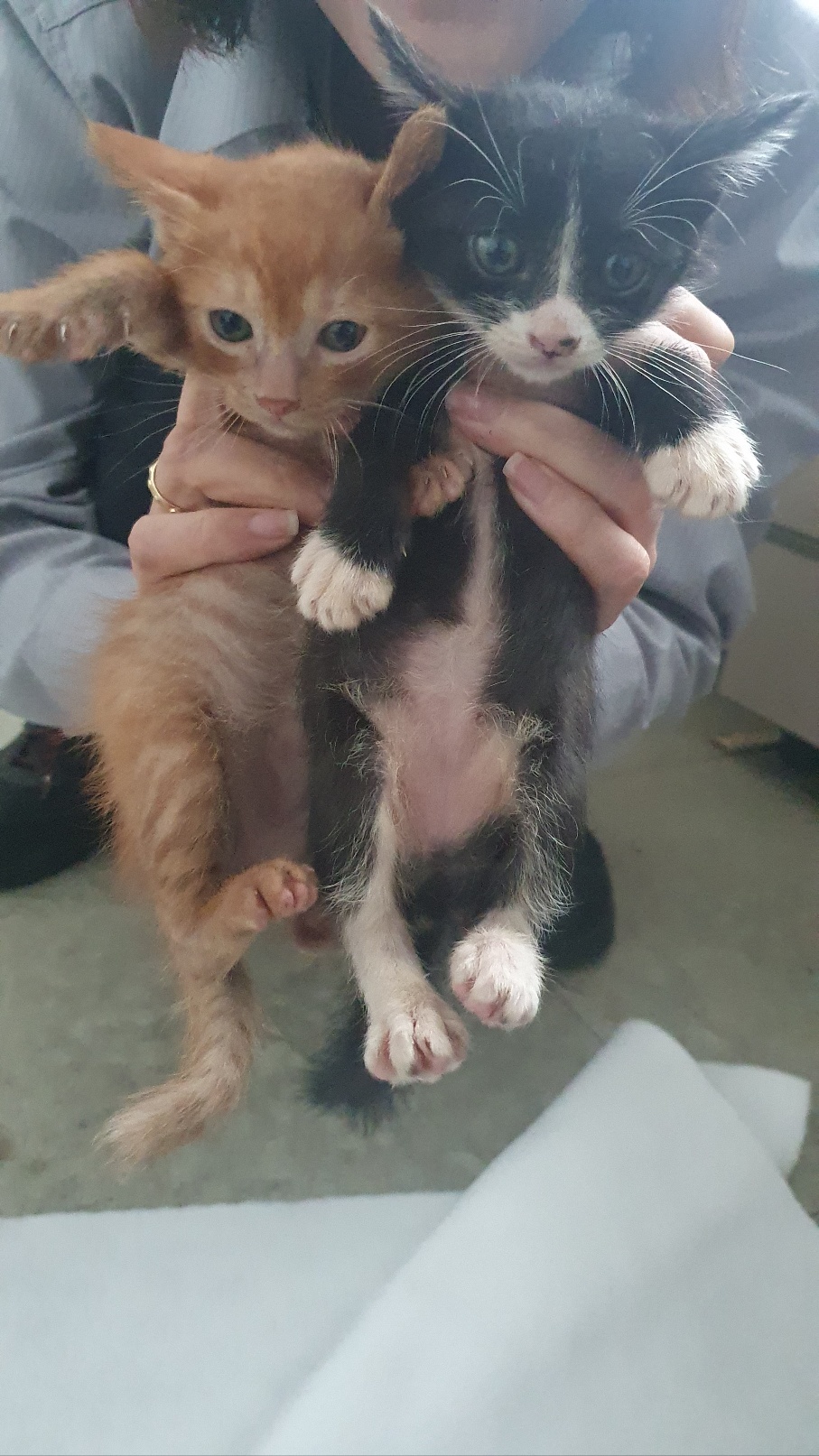 KakaoTalk_20251021_125158505_15.jpg