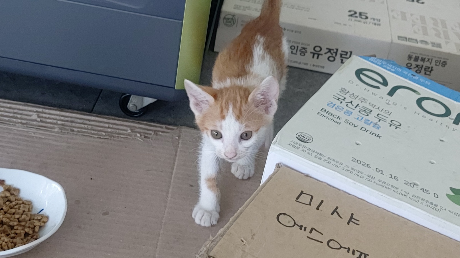 둘째 (4).jpg