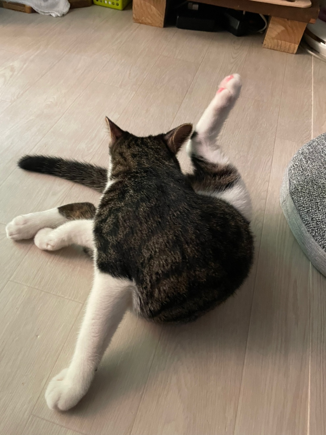 KakaoTalk_20250811_105333595_05.jpg