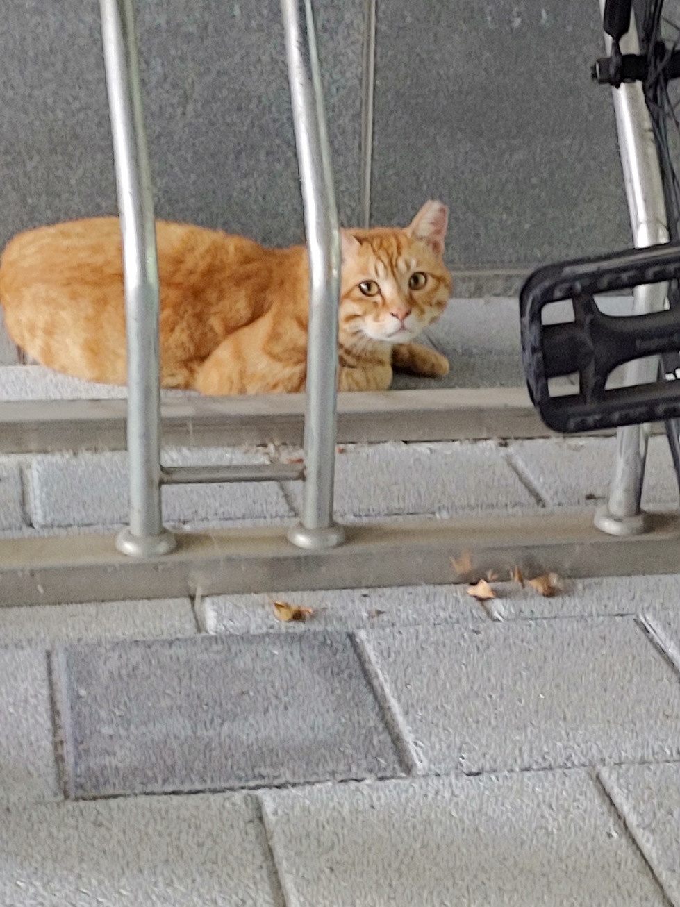 KakaoTalk_20241112_113043771_04.jpg