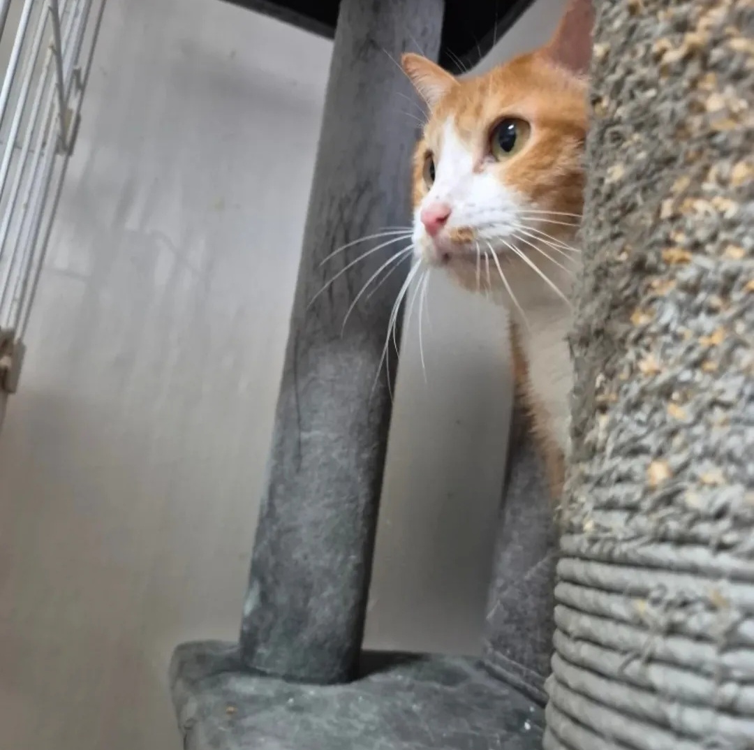 Screenshot_20251230_213753_Instagram (1).jpg