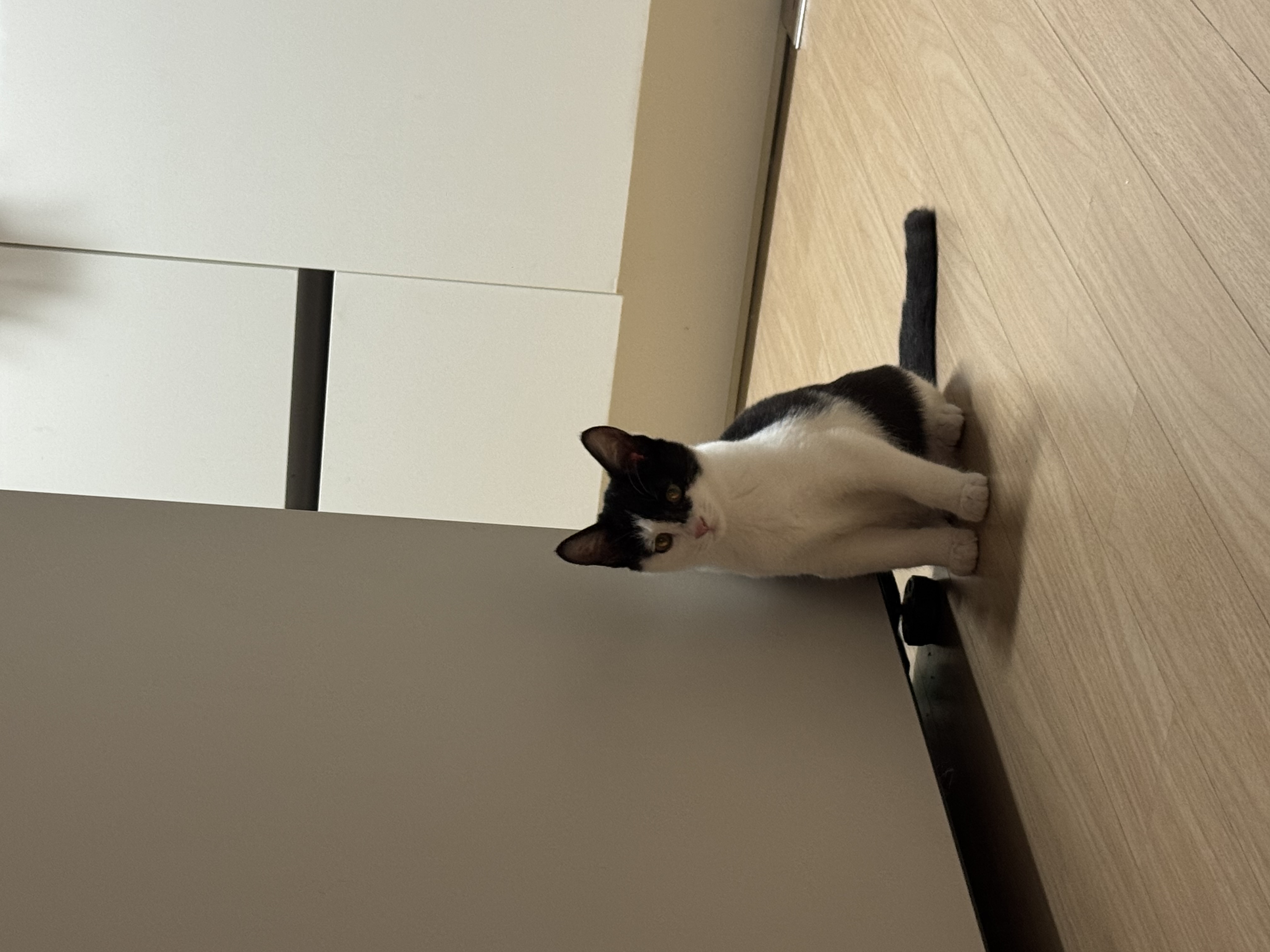 KakaoTalk_Photo_2025-11-24-17-48-37 028.jpeg