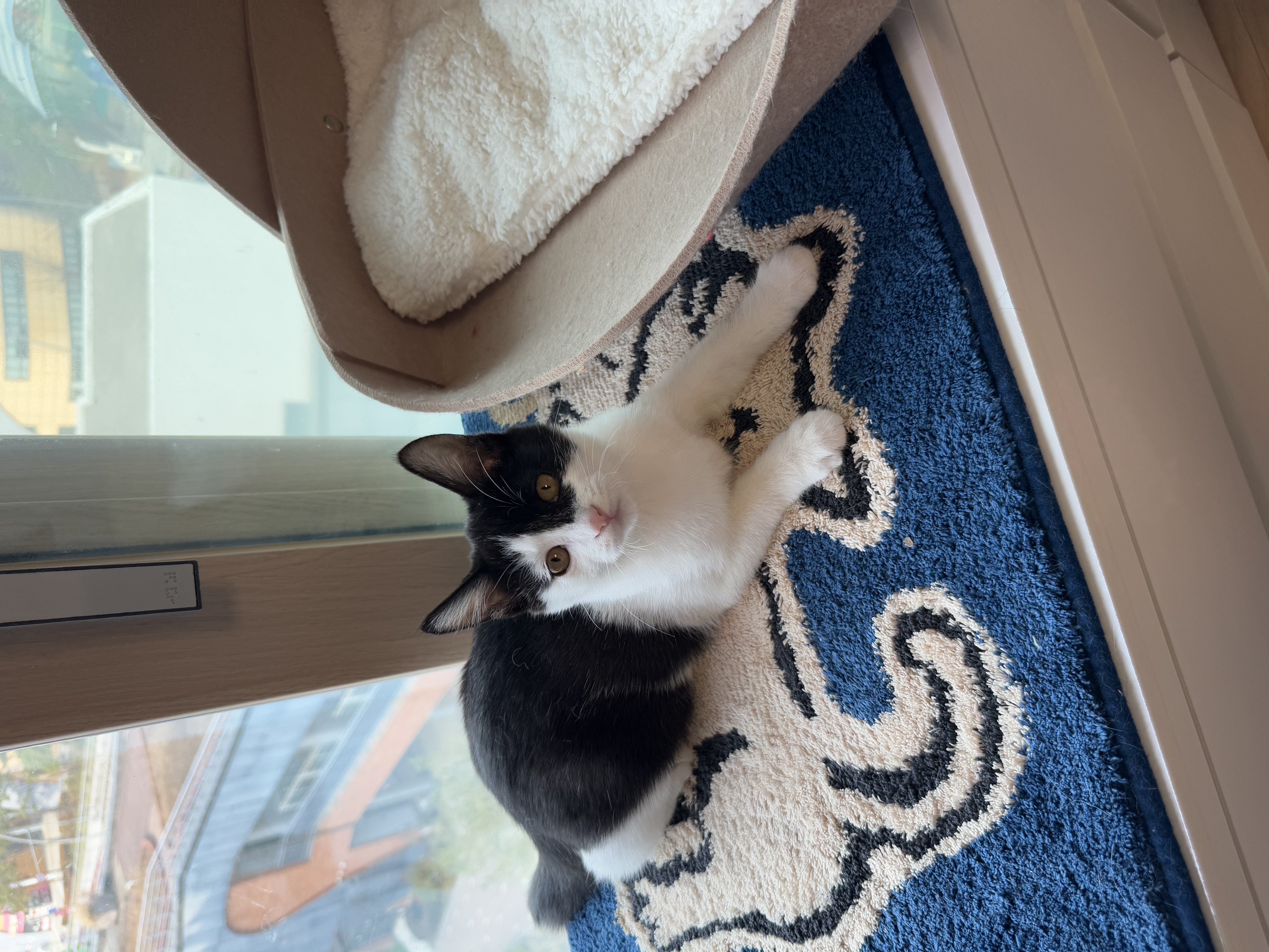 KakaoTalk_Photo_2025-11-24-17-48-54 007.jpeg