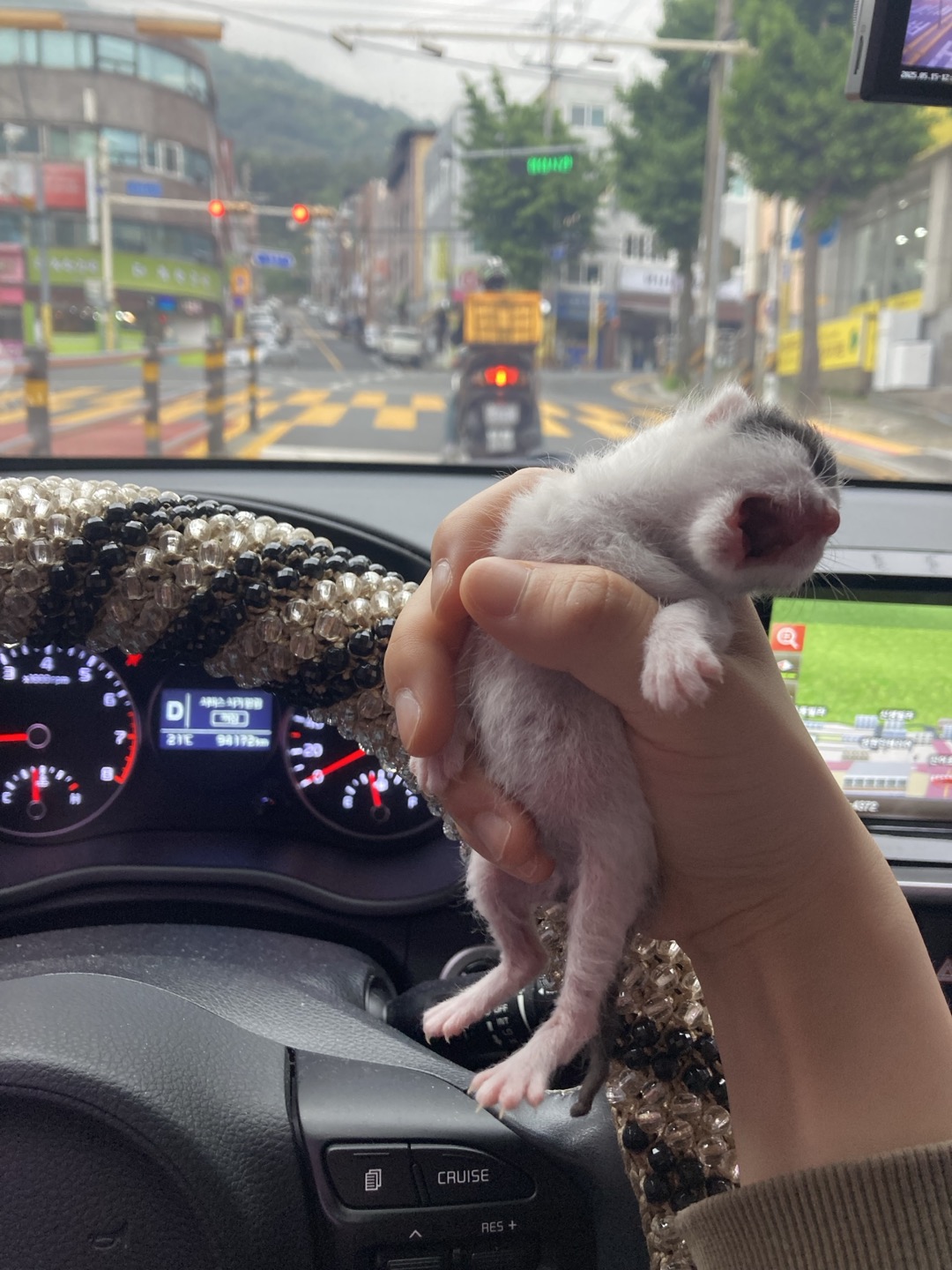 KakaoTalk_20250515_141827105_05.jpg