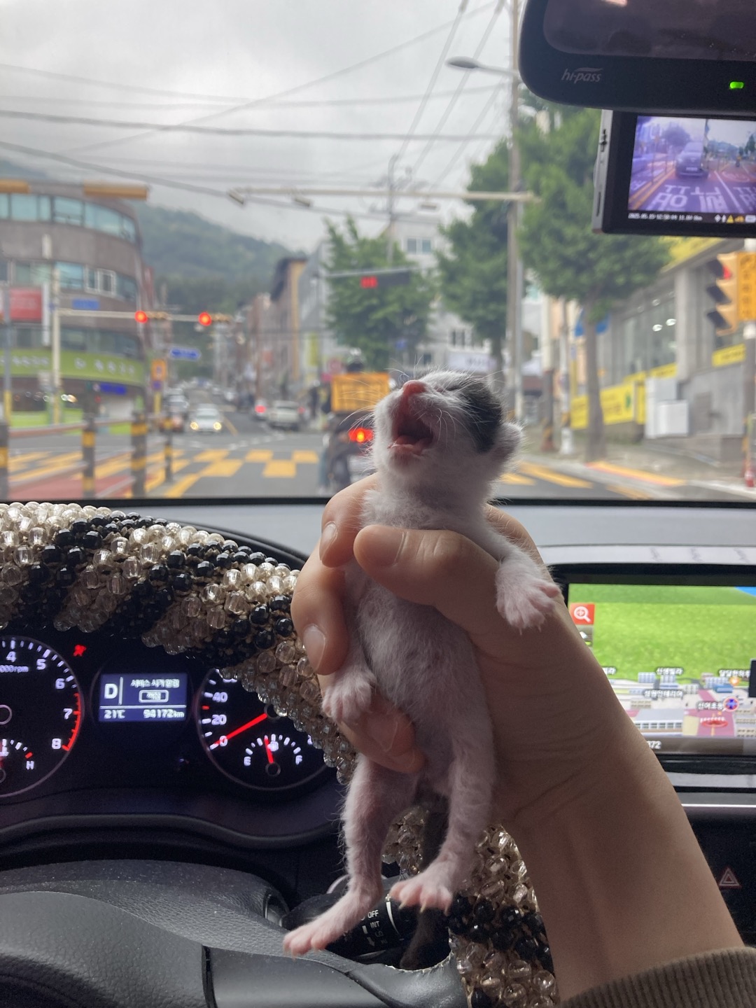 KakaoTalk_20250515_141827105_04.jpg