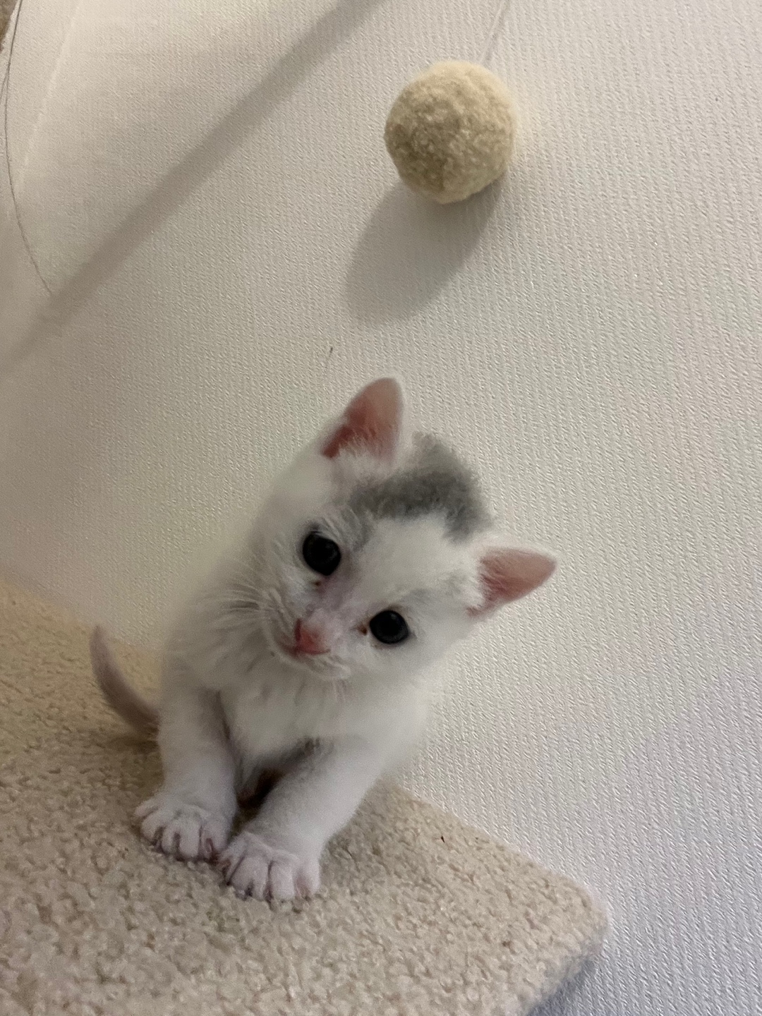 KakaoTalk_20250513_125922988_05.jpg