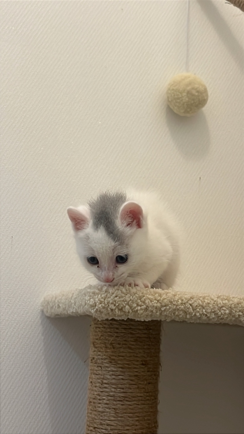 KakaoTalk_20250513_125922988_11.jpg