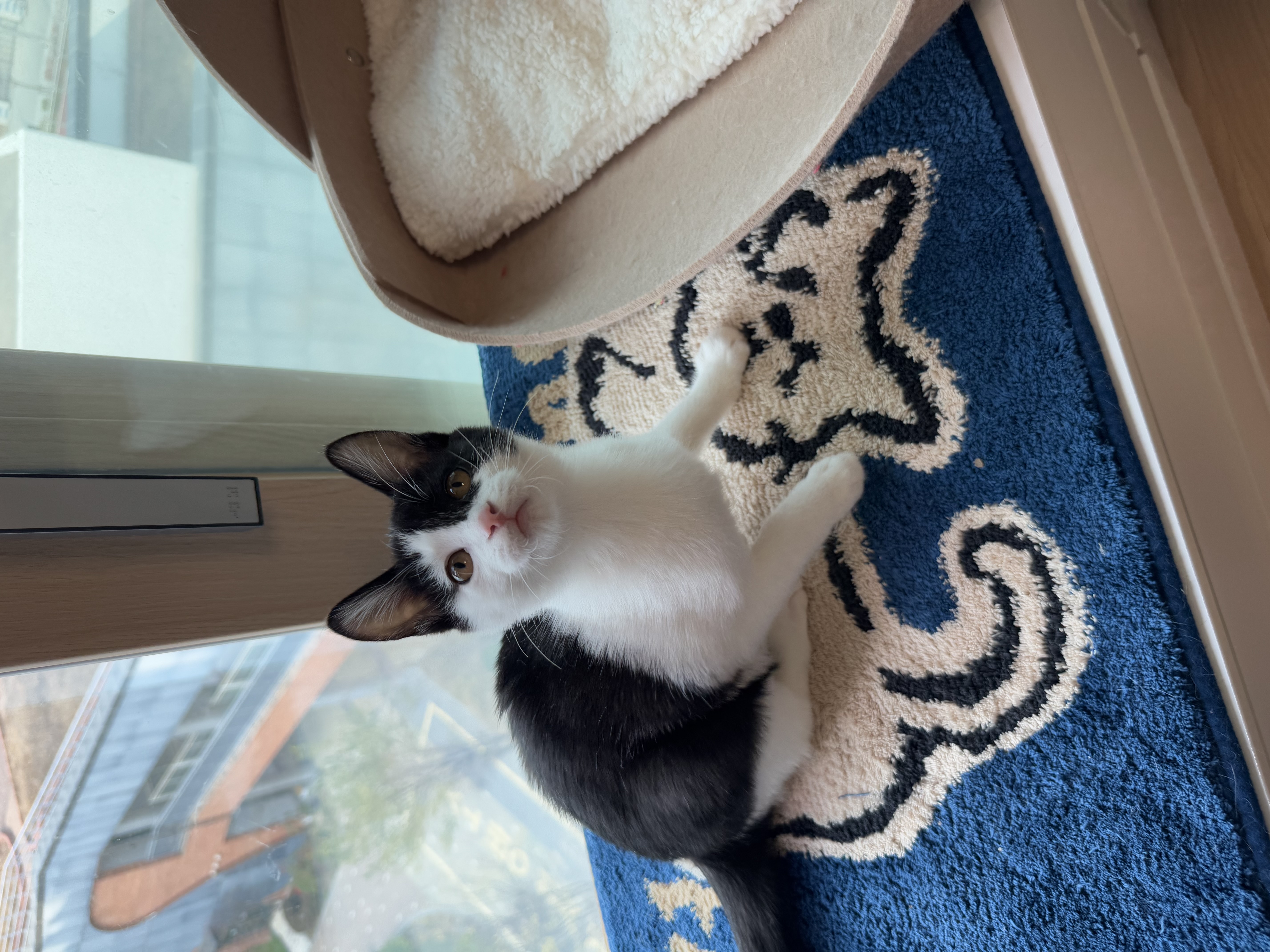 KakaoTalk_Photo_2025-11-24-17-48-59 022.jpeg