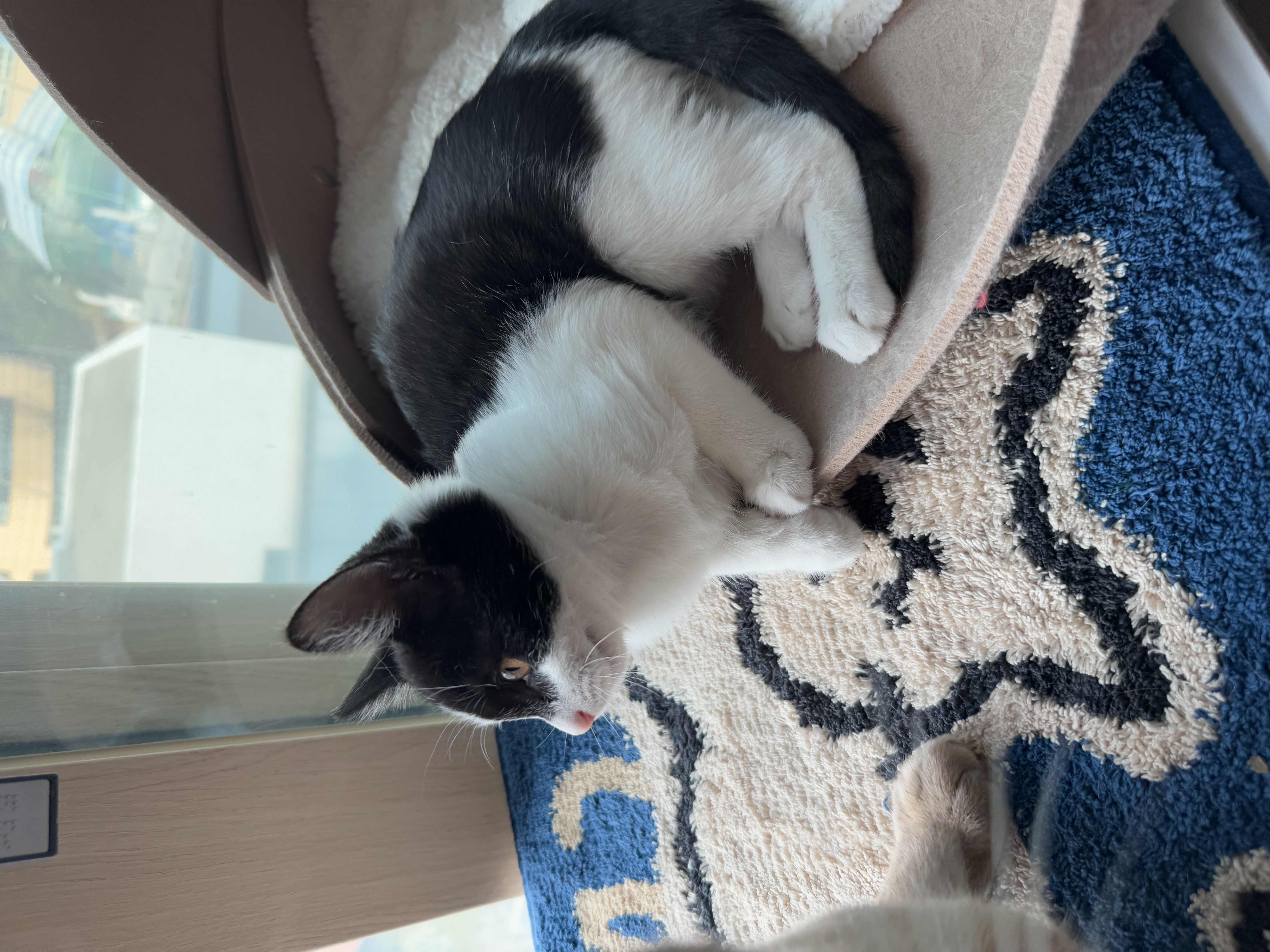 KakaoTalk_Photo_2025-11-24-17-48-53 002.jpeg