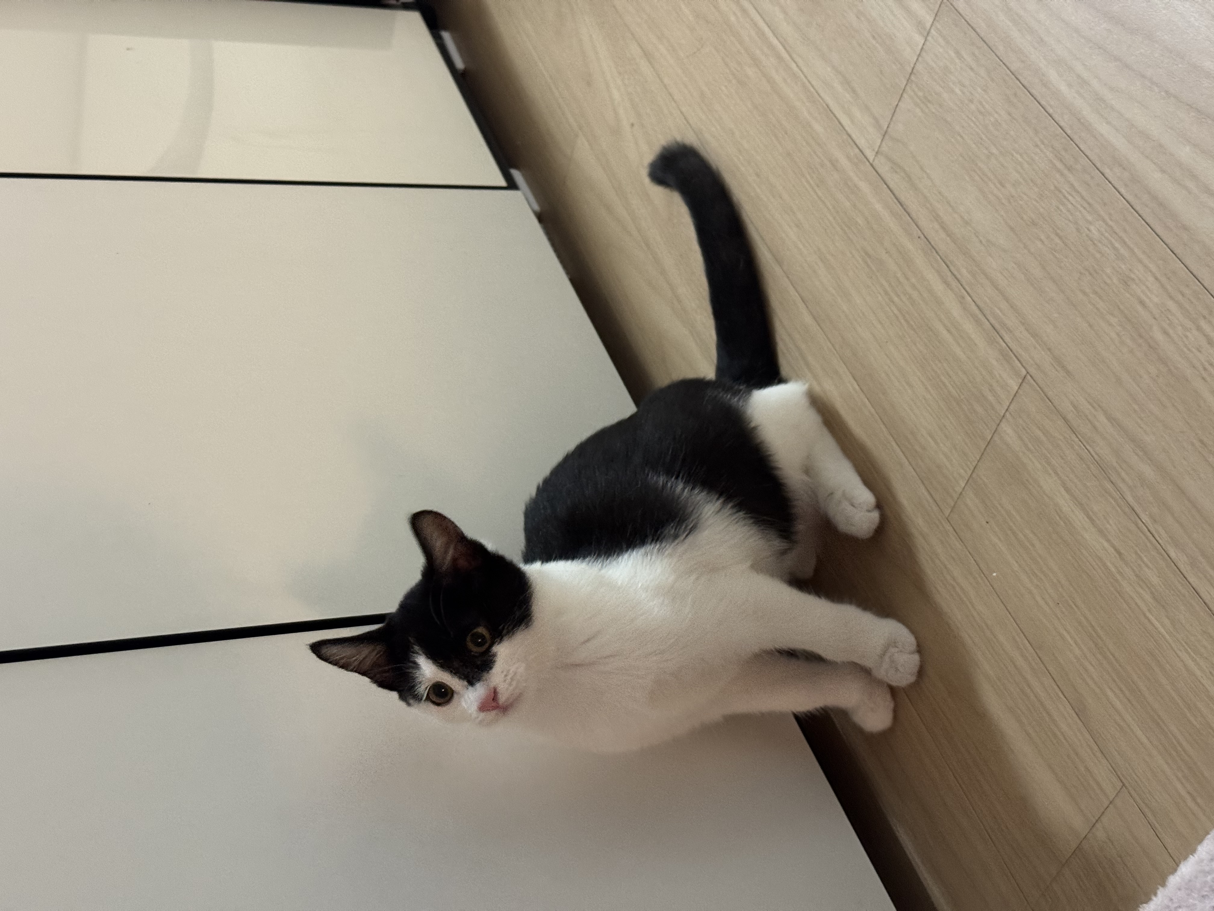 KakaoTalk_Photo_2025-11-24-17-48-37 025.jpeg