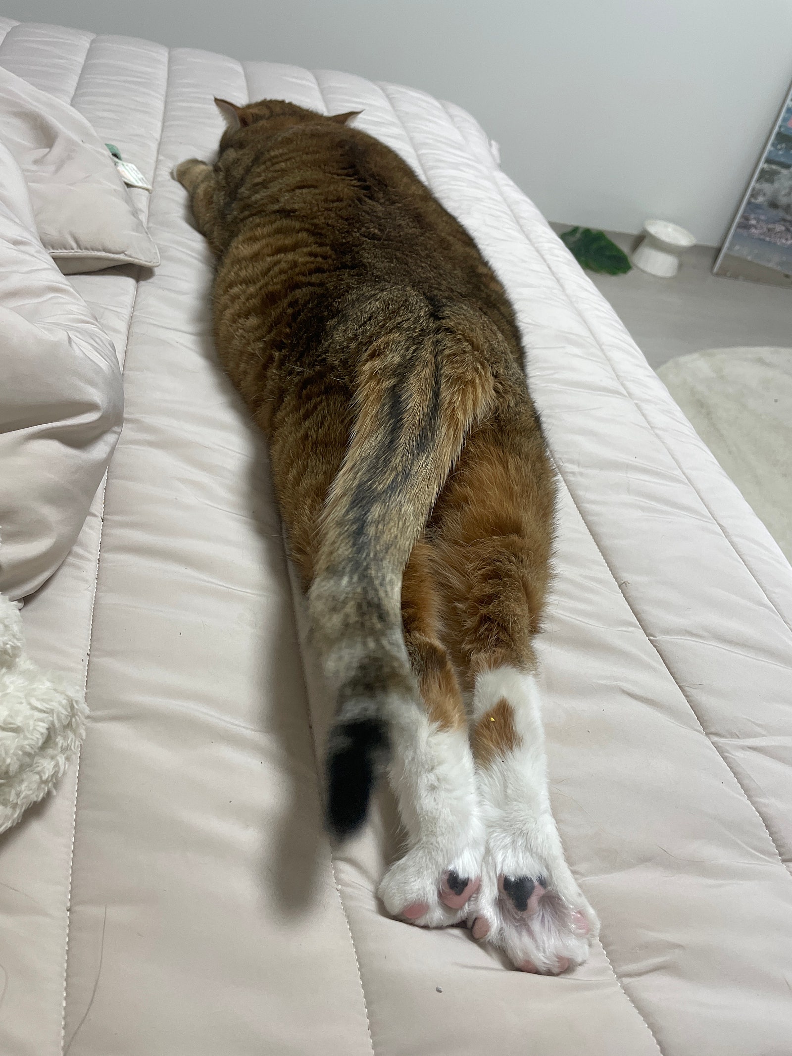 IMG_1100.jpeg