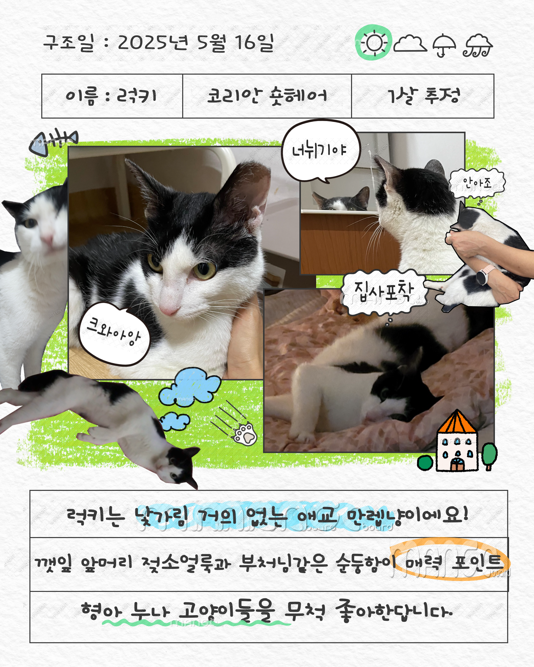 입양홍보.png