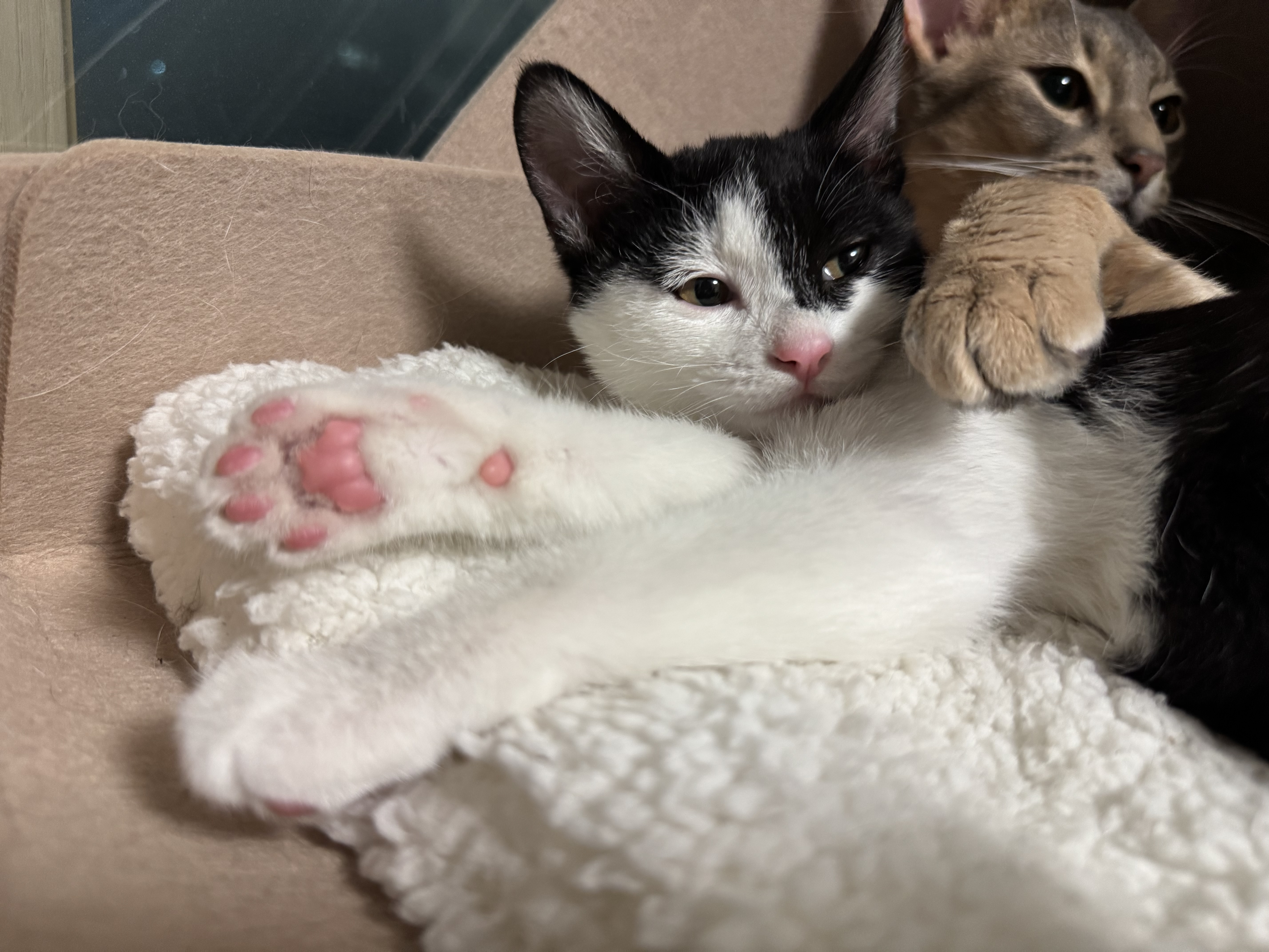 KakaoTalk_Photo_2025-11-24-17-48-36 020.jpeg