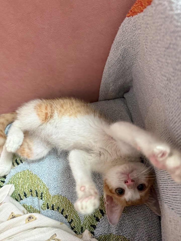 KakaoTalk_20250710_160703467_02.jpg