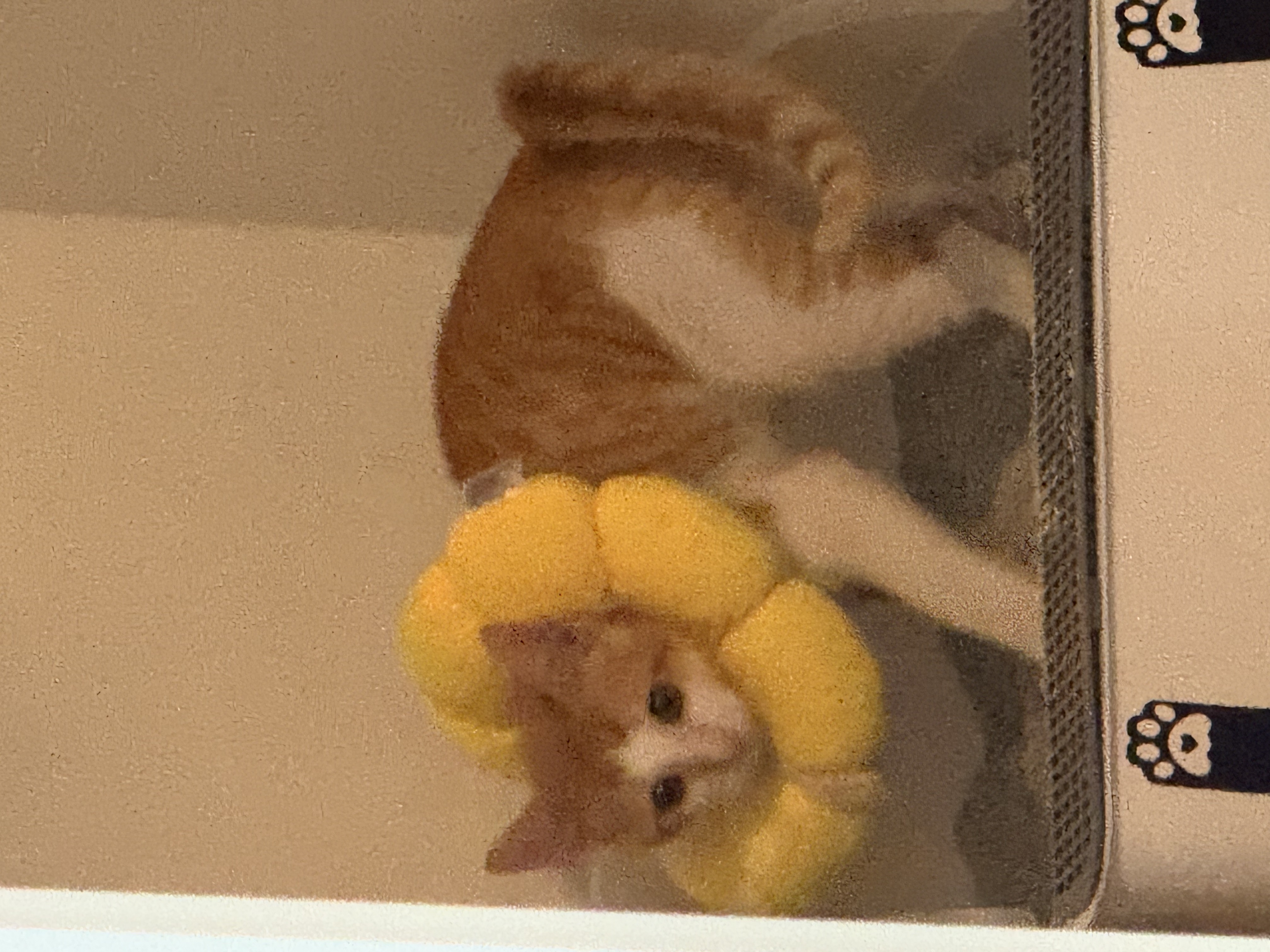 KakaoTalk_20250710_160703467_05.jpg