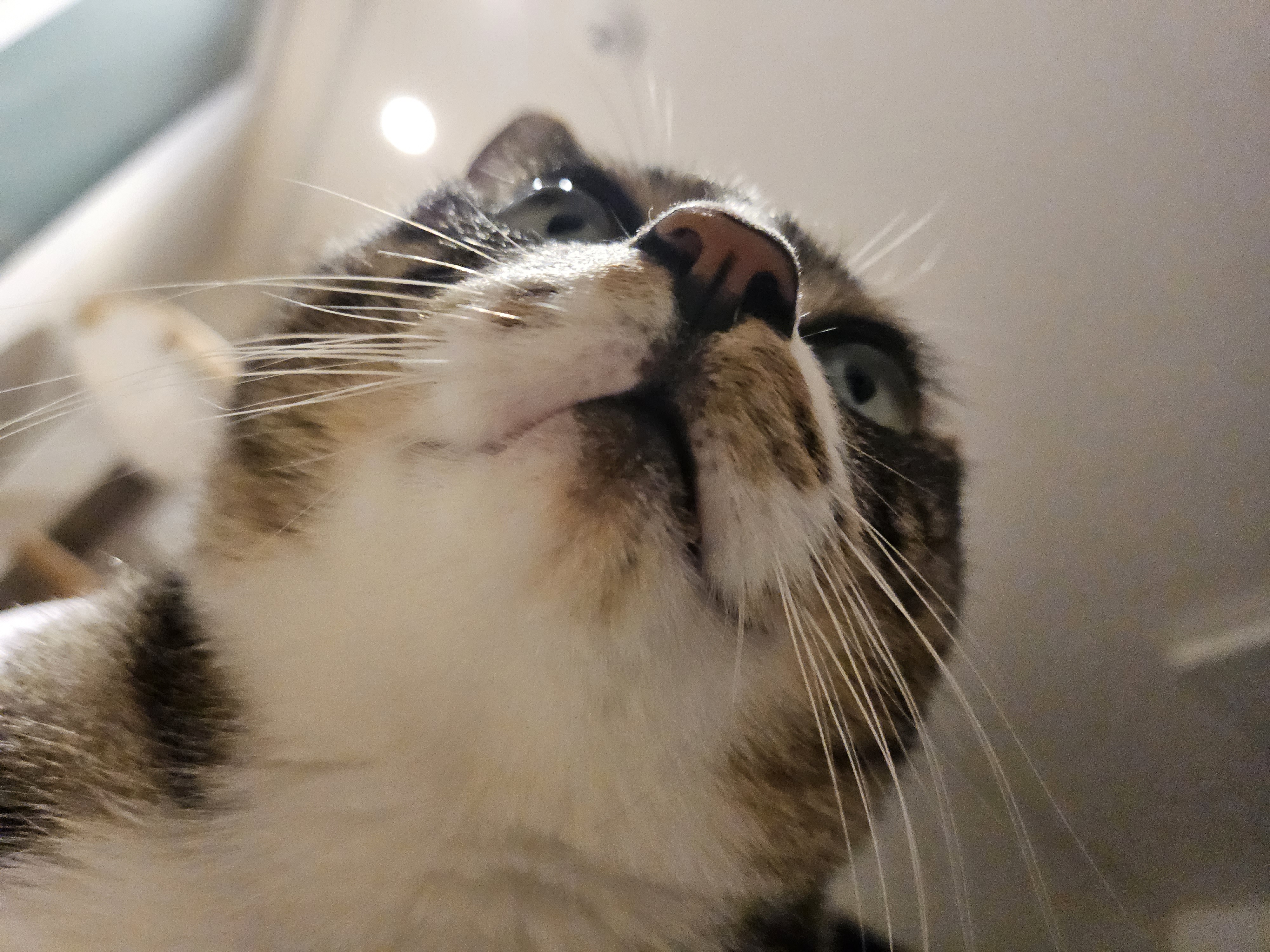 20231005_182516.jpg
