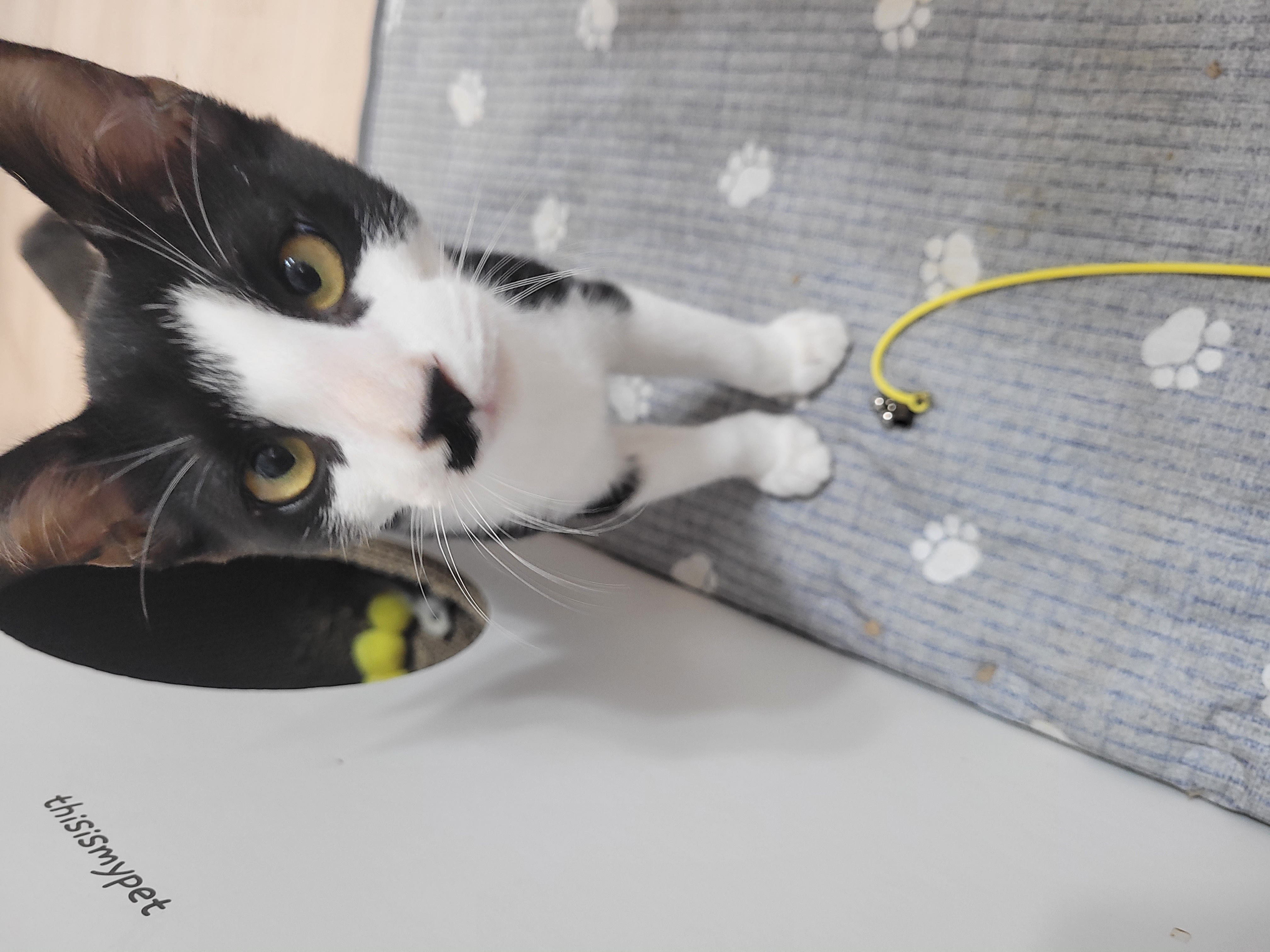 KakaoTalk_20250929_020804316_06.jpg