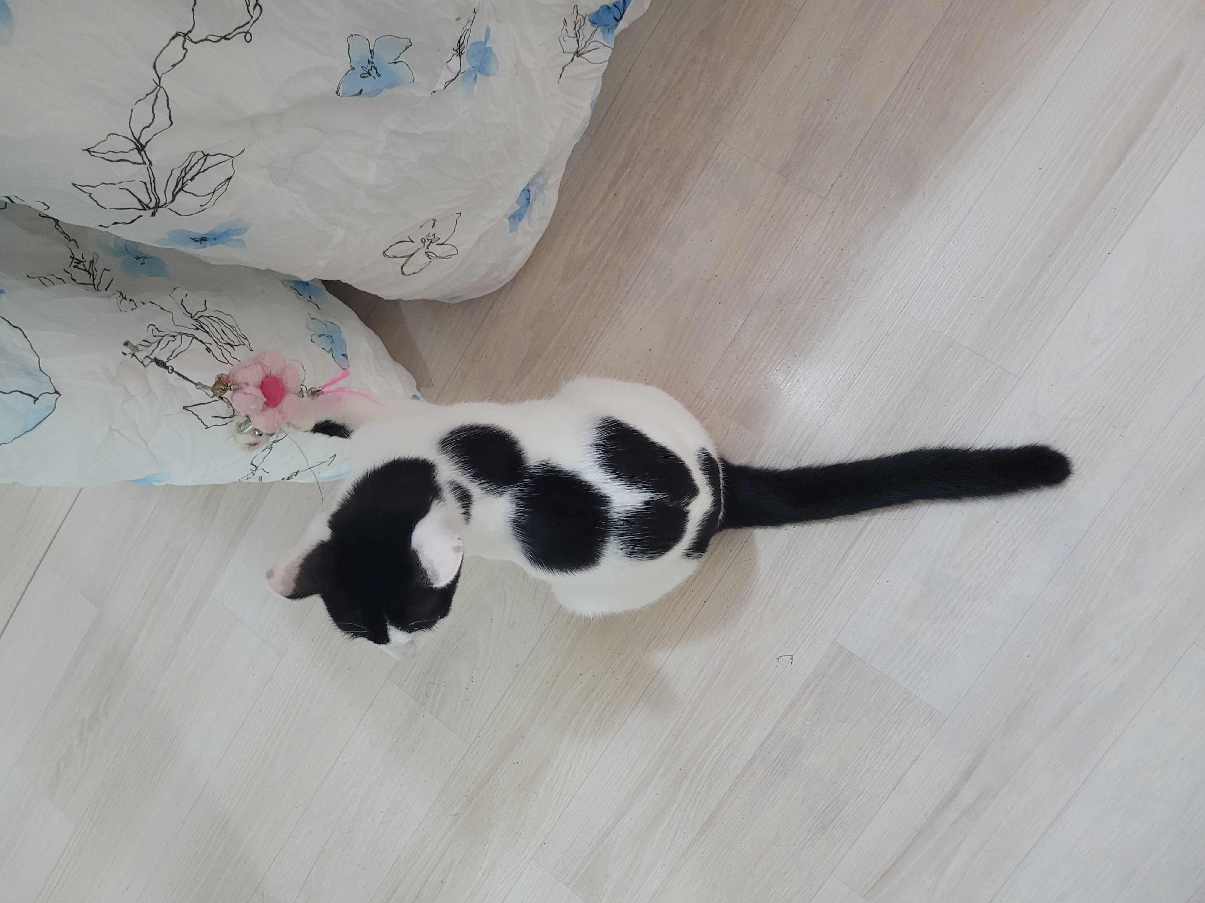 KakaoTalk_20250929_020804316_08.jpg
