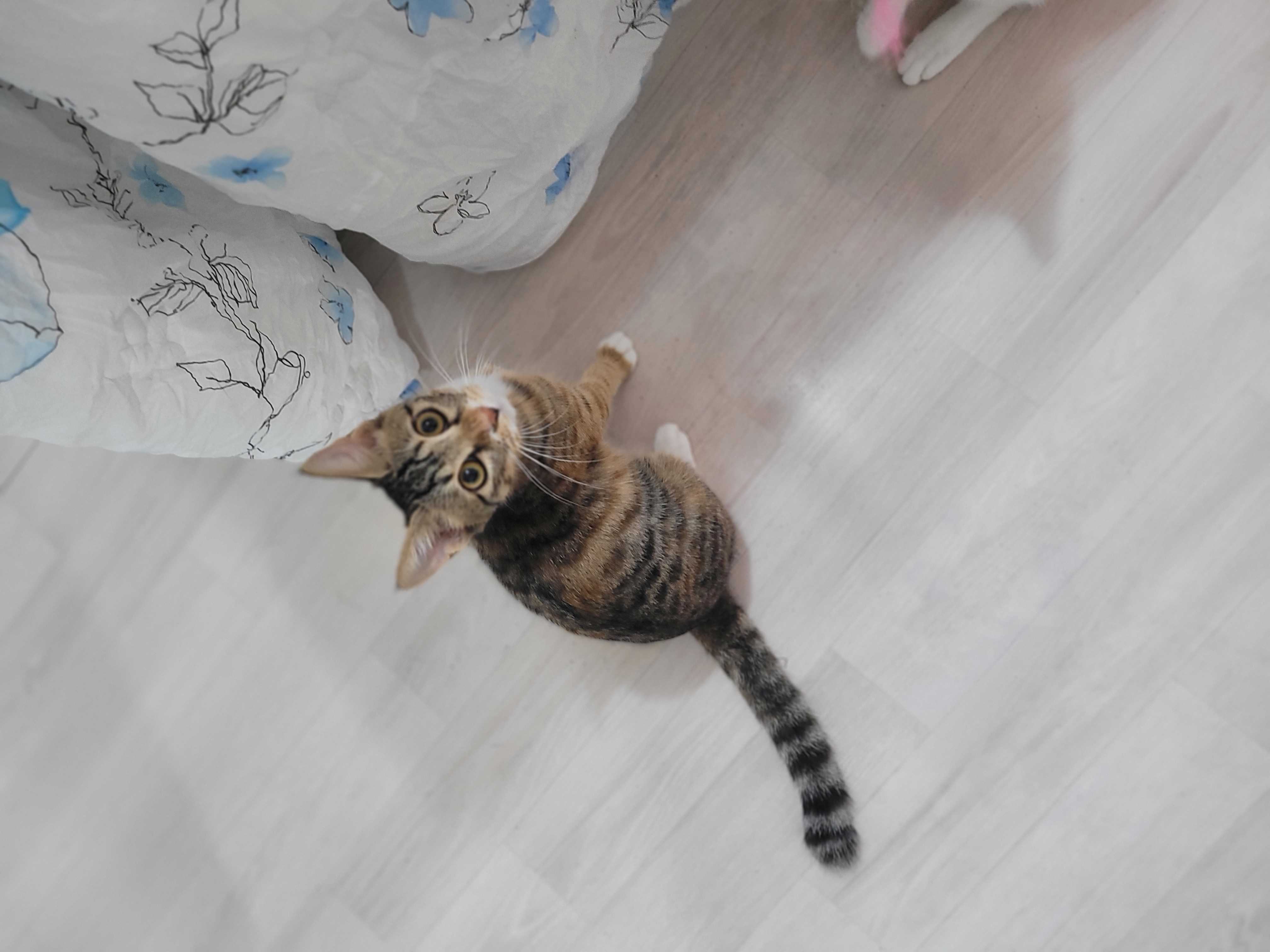 KakaoTalk_20250929_020804316_09.jpg