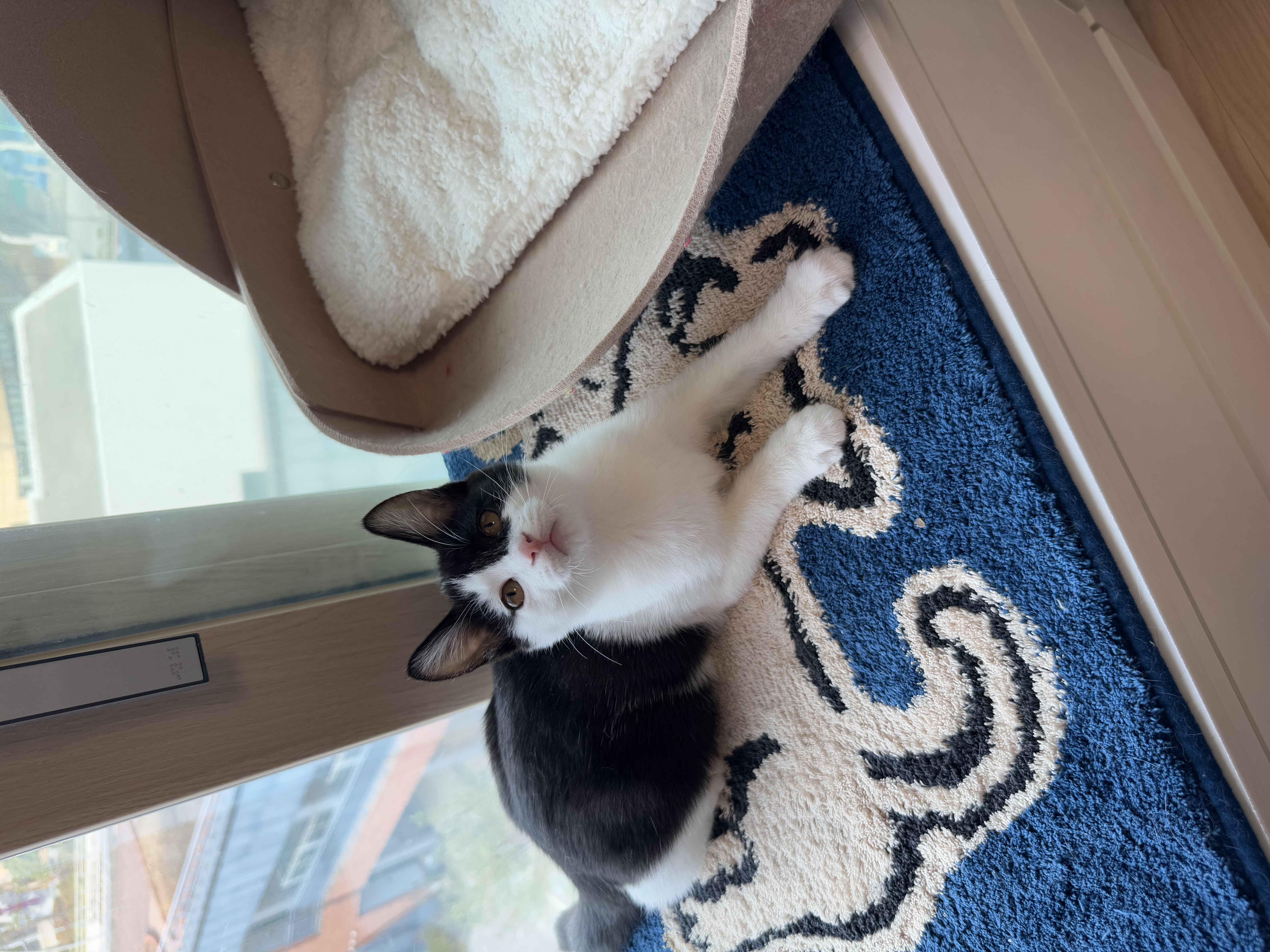 KakaoTalk_Photo_2025-11-24-17-48-55 011.jpeg