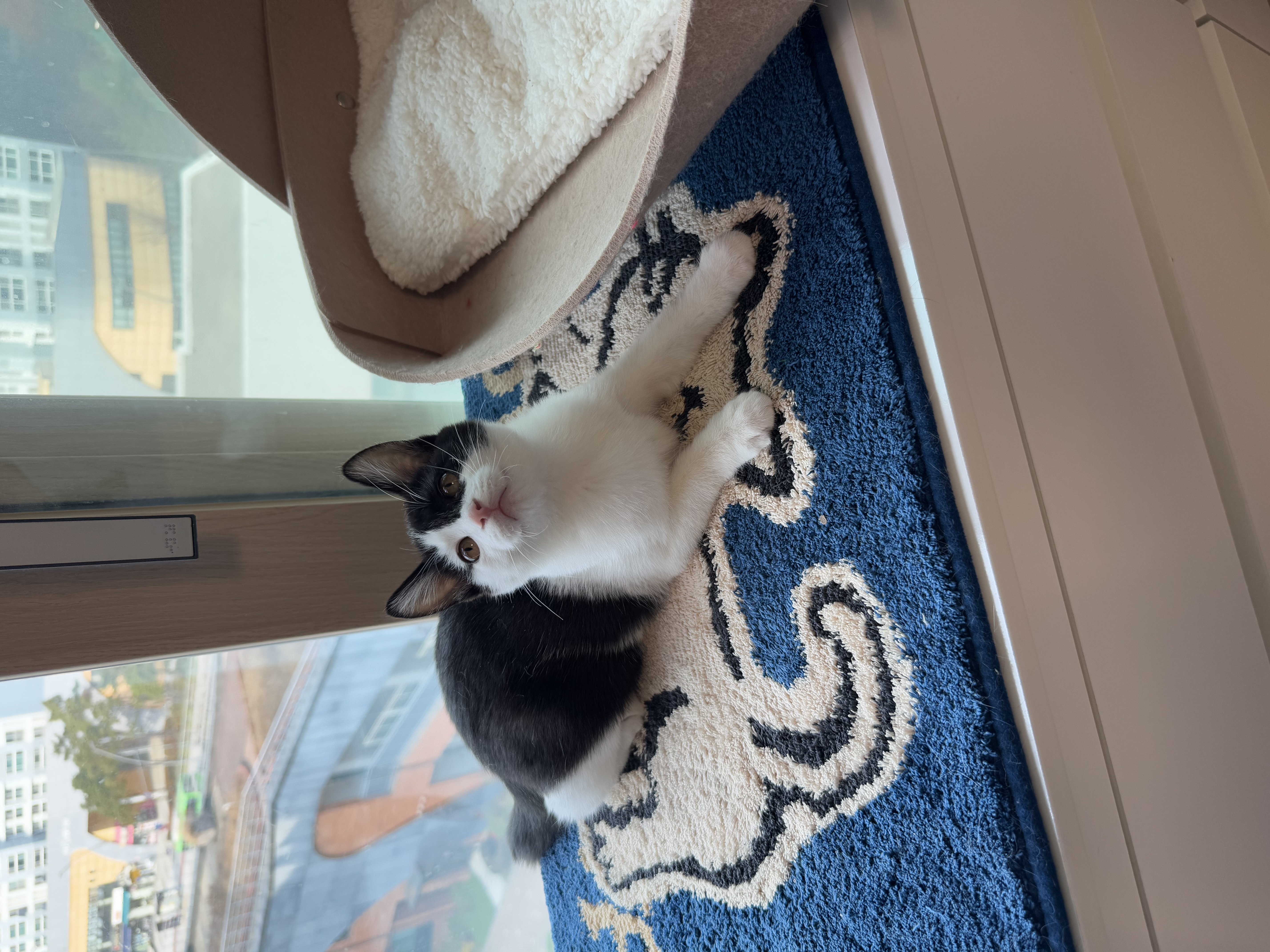 KakaoTalk_Photo_2025-11-24-17-48-55 010.jpeg