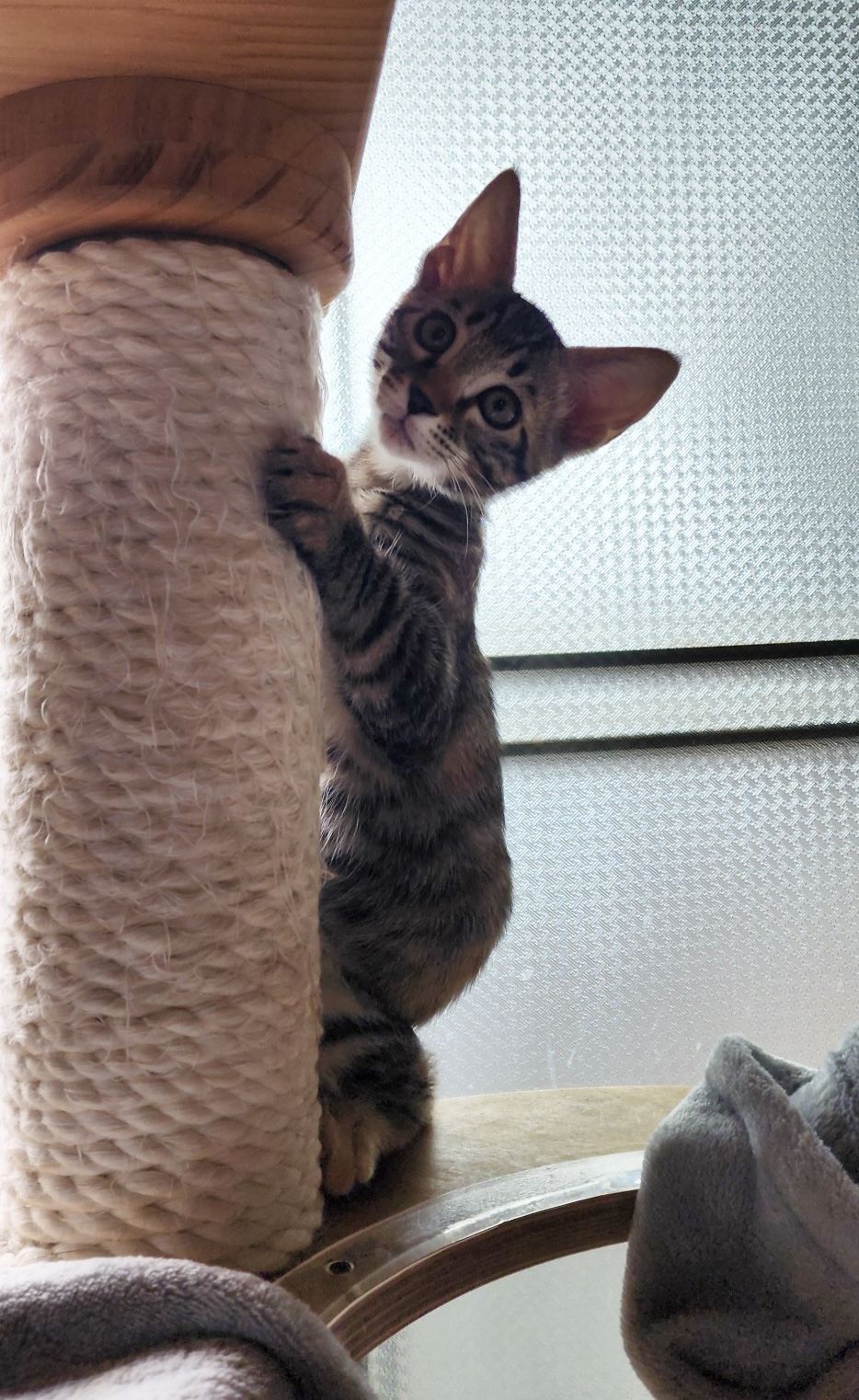 KakaoTalk_20250918_145547454_01.jpg