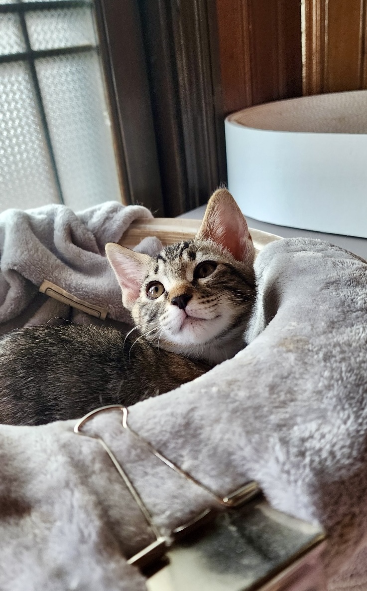 KakaoTalk_20250918_145547454.jpg