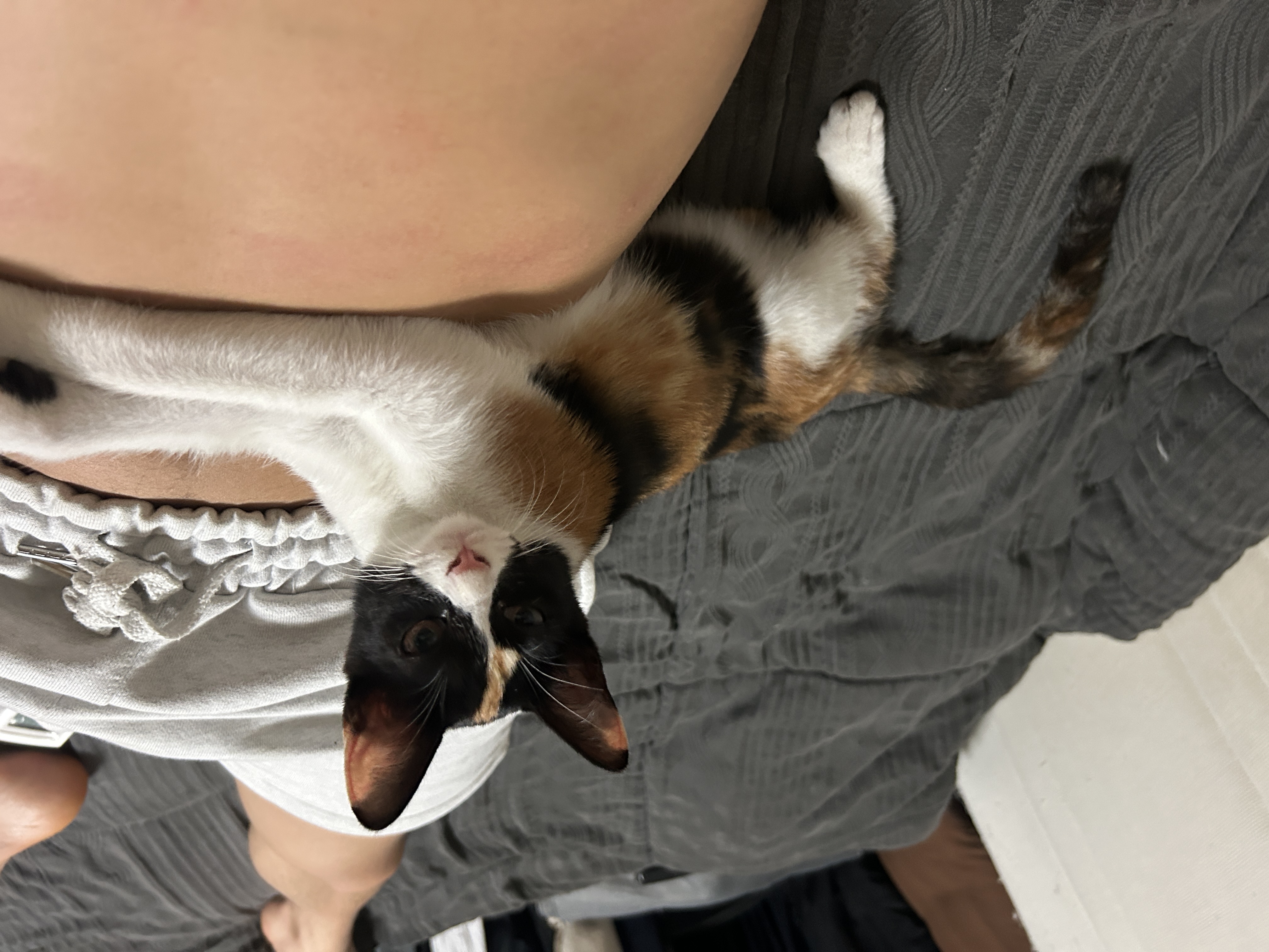 IMG_0589.jpeg