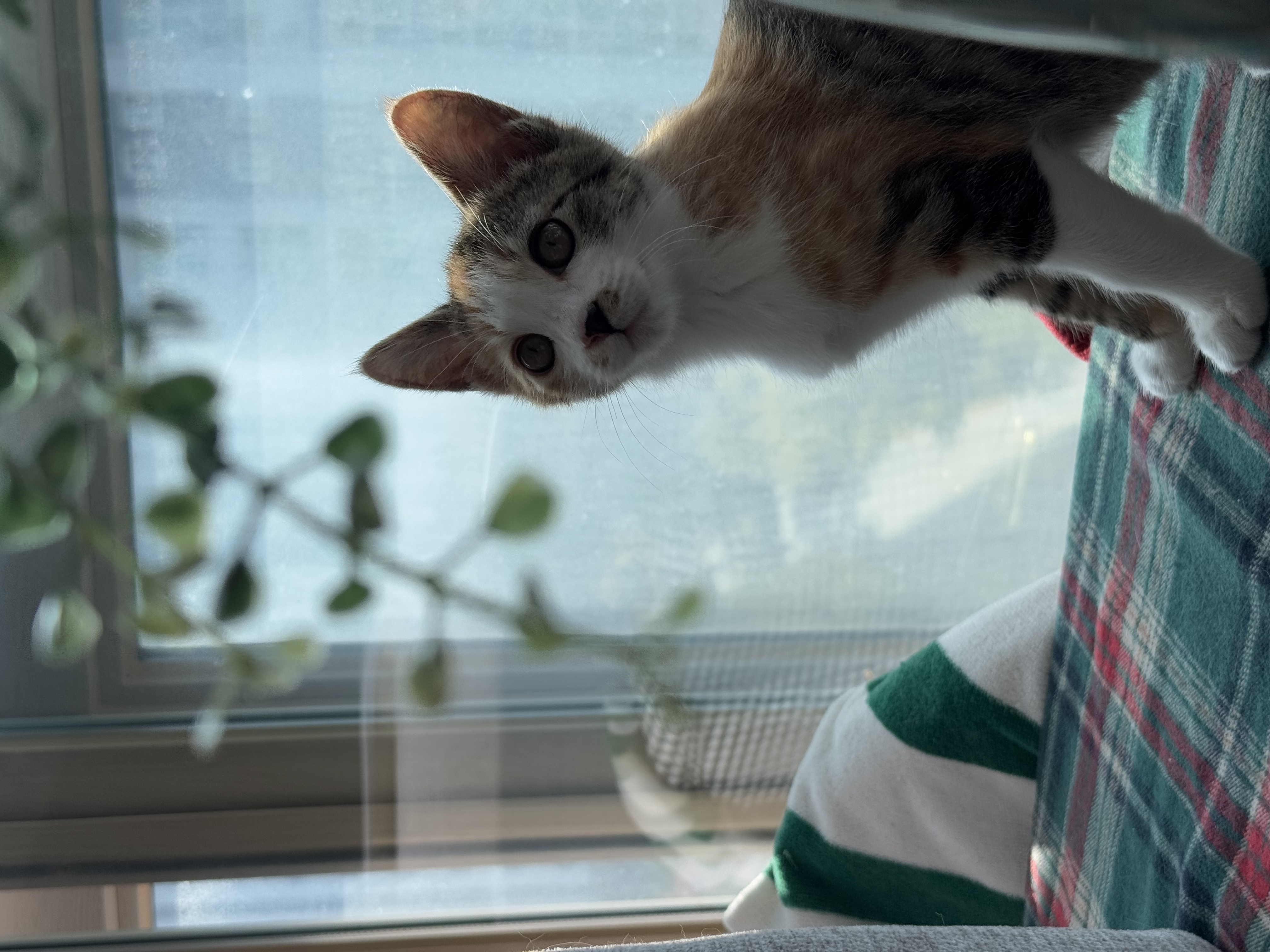 KakaoTalk_Photo_2025-11-24-18-12-04 003.jpeg