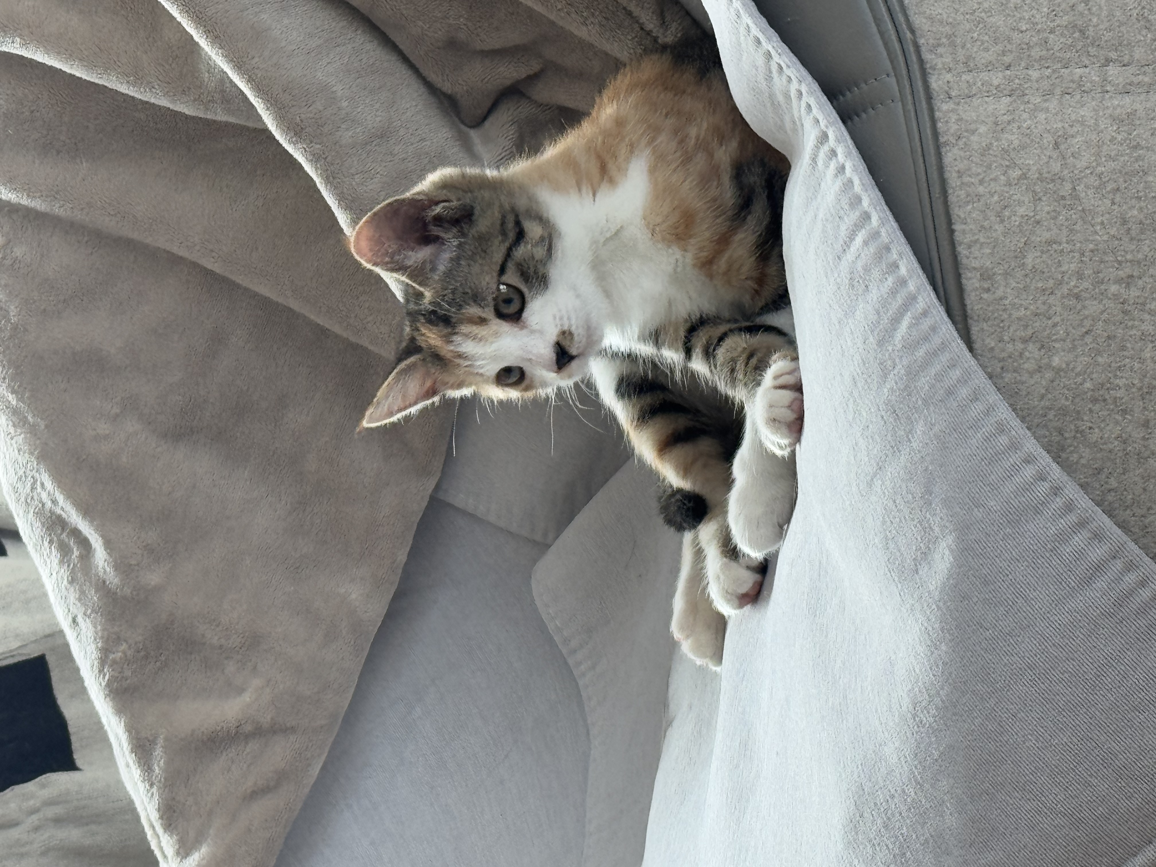 KakaoTalk_Photo_2025-11-24-18-12-05 008.jpeg