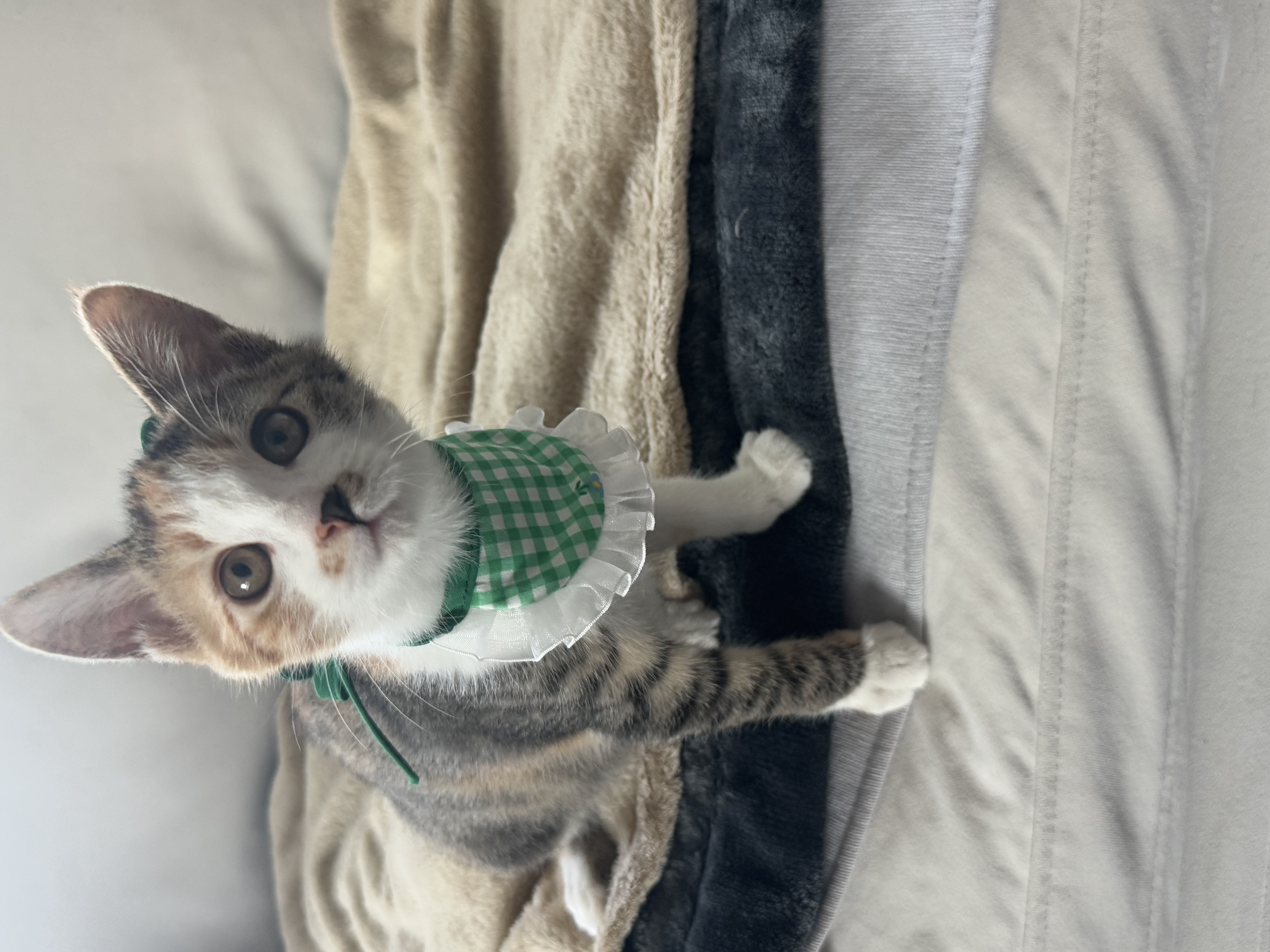 KakaoTalk_Photo_2025-11-24-18-11-53 018.jpeg