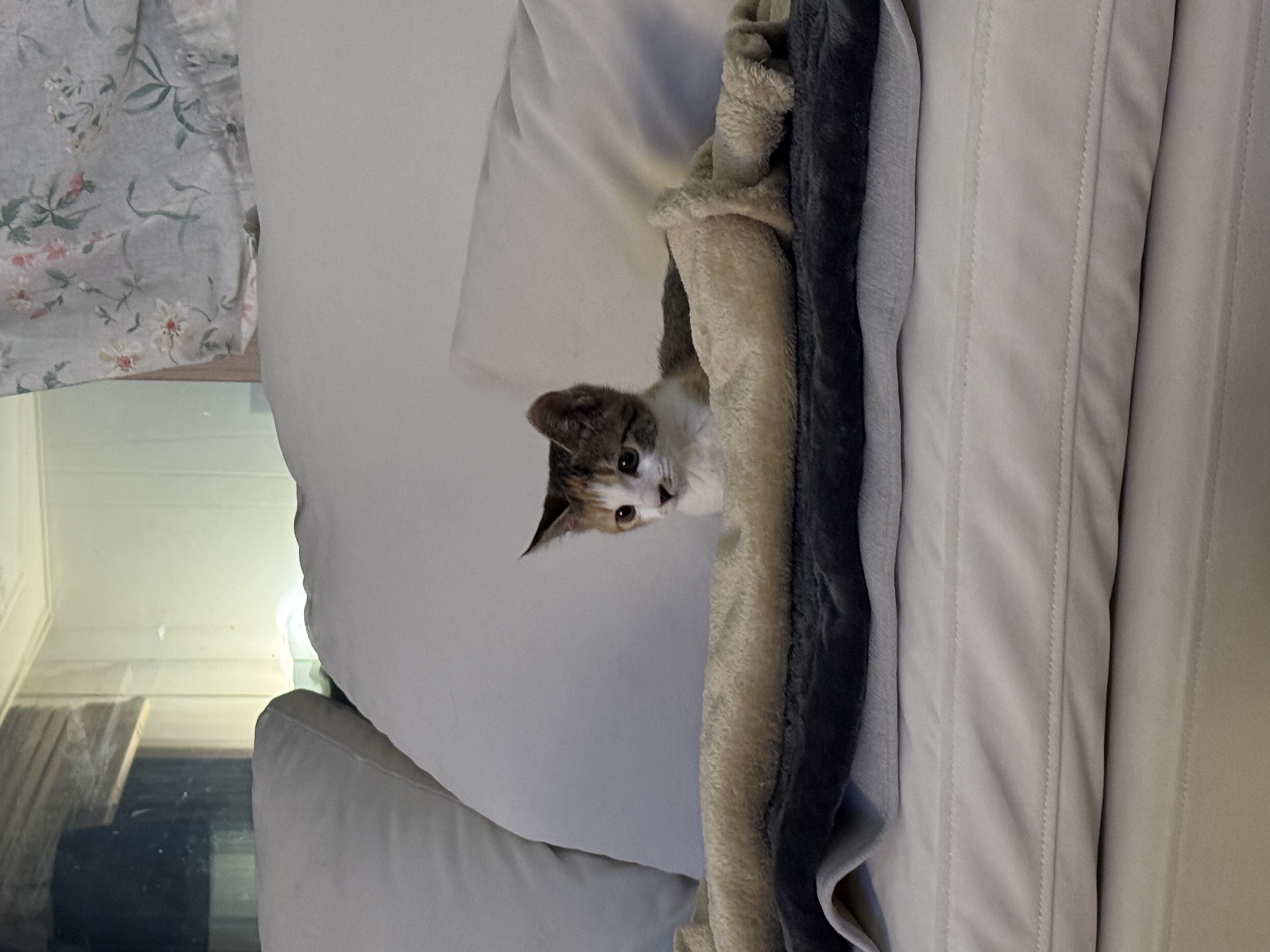 KakaoTalk_Photo_2025-11-24-18-11-29 016.jpeg