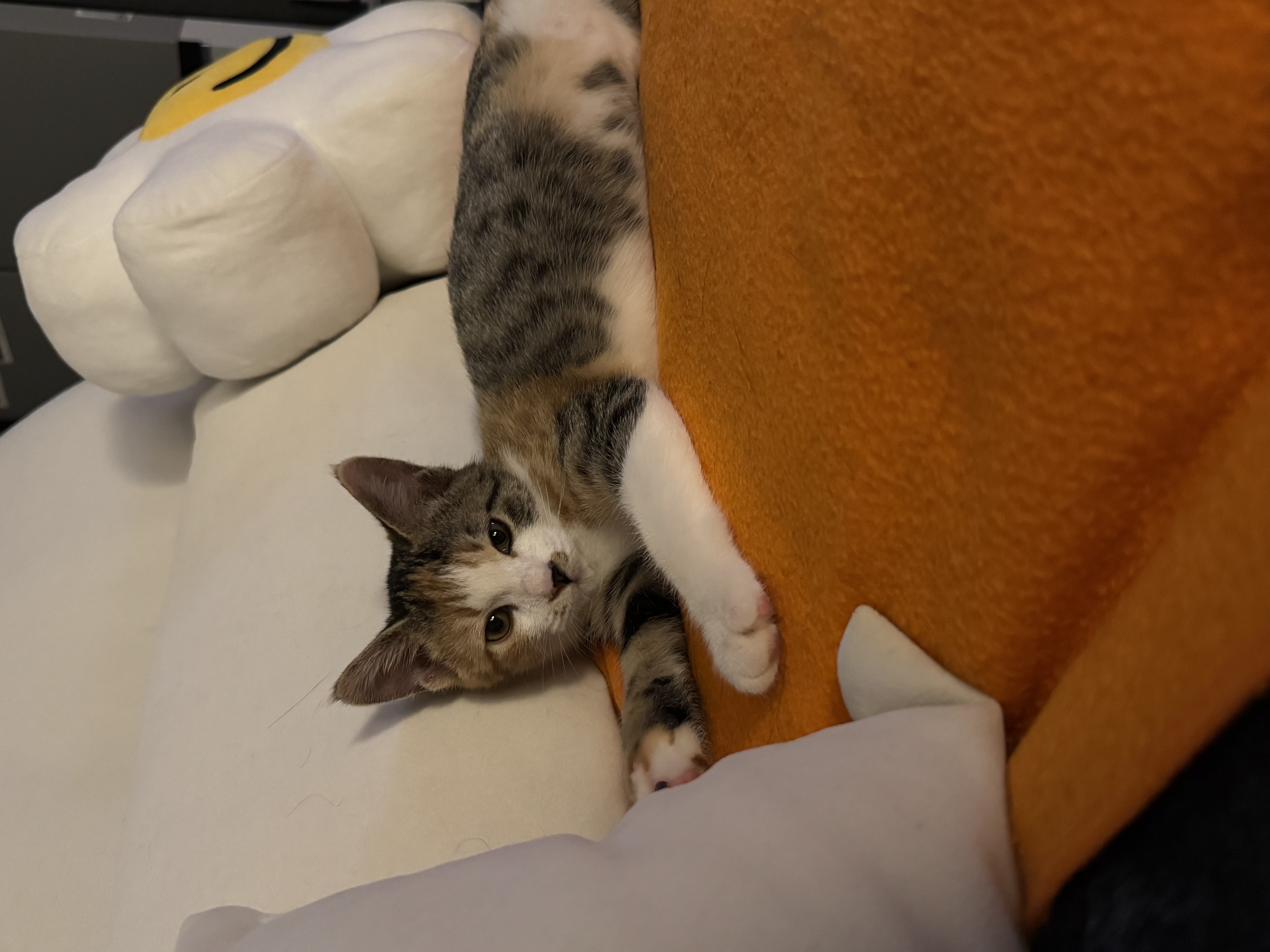 KakaoTalk_Photo_2025-11-24-18-11-27 004.jpeg