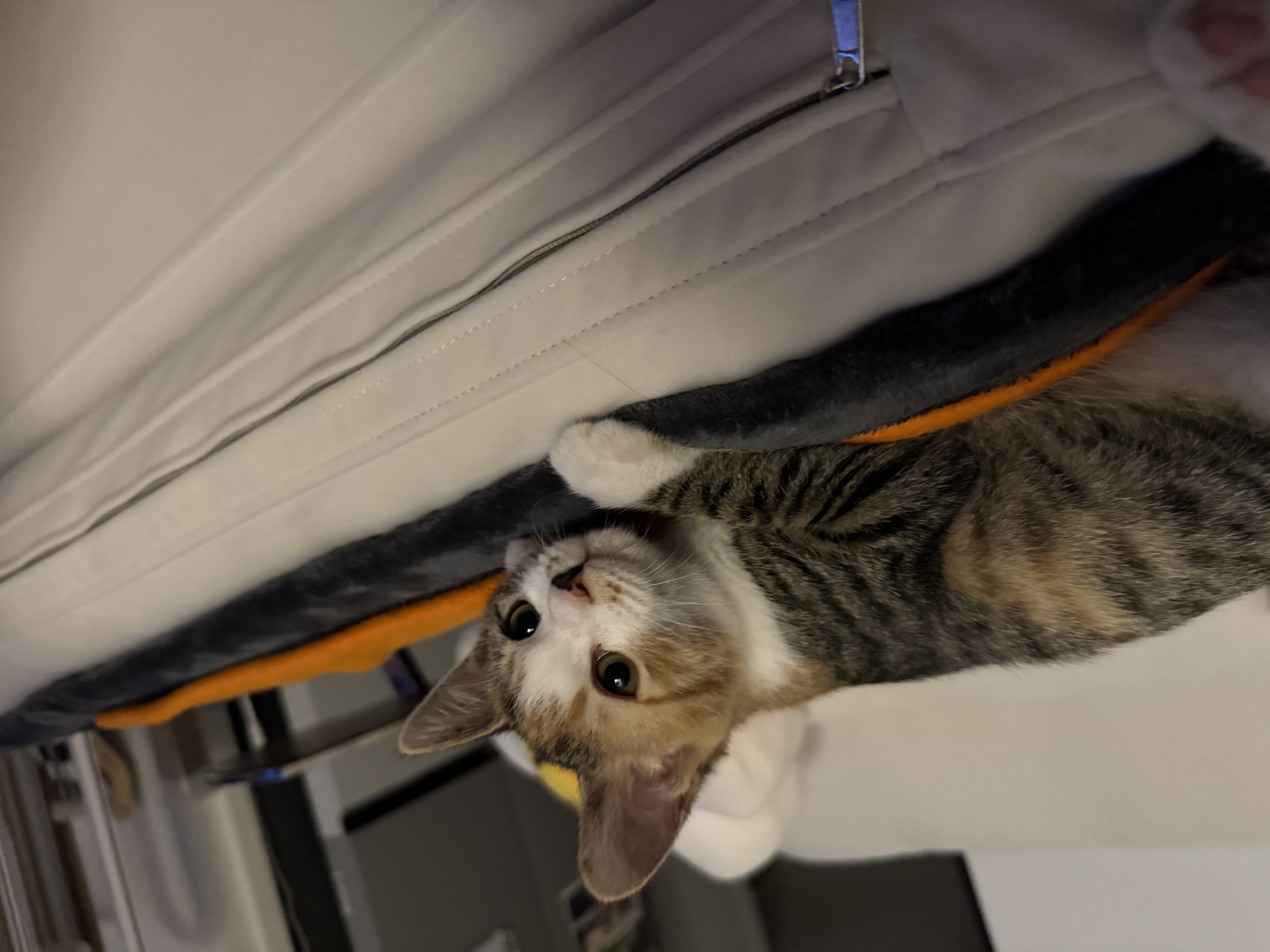 KakaoTalk_Photo_2025-11-24-18-11-28 007.jpeg