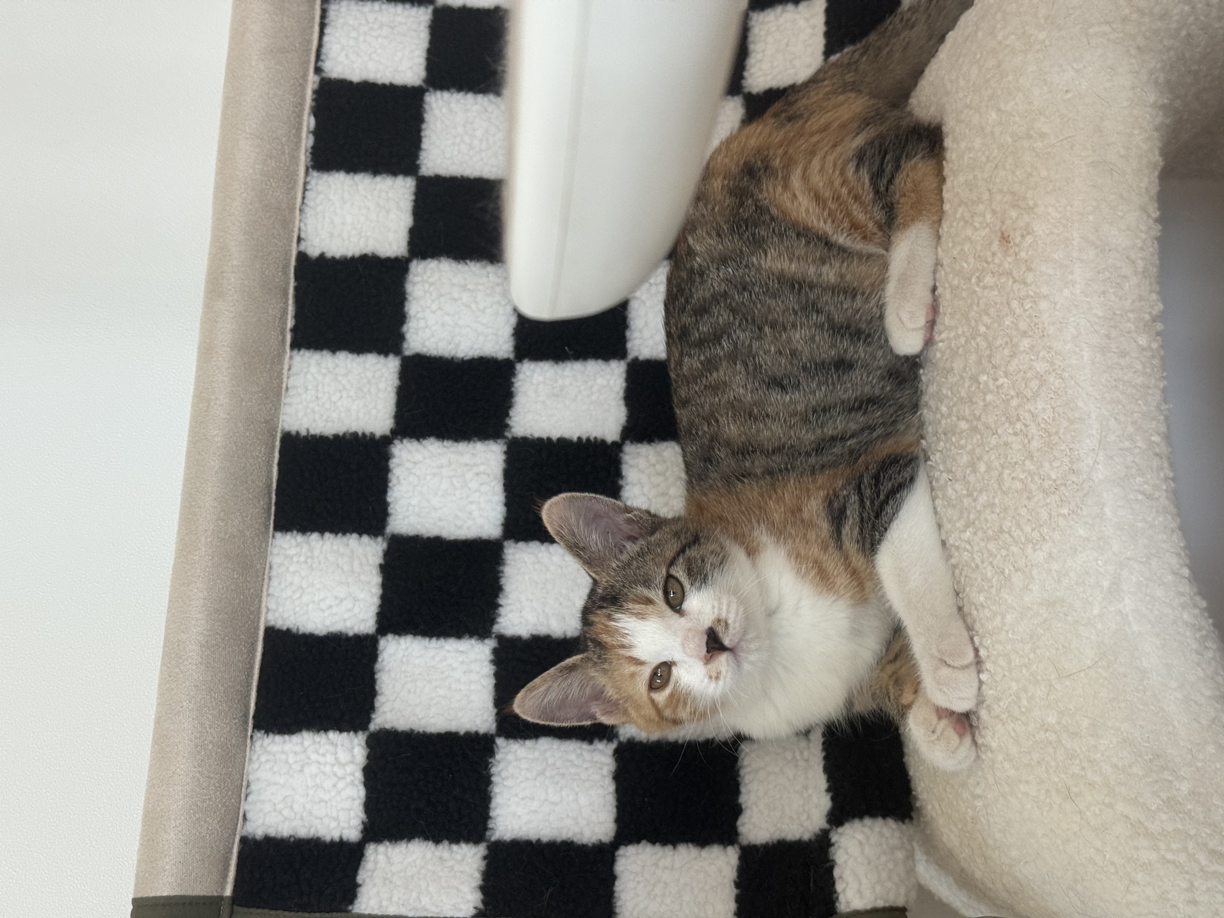 KakaoTalk_Photo_2025-11-24-18-11-29 015.jpeg